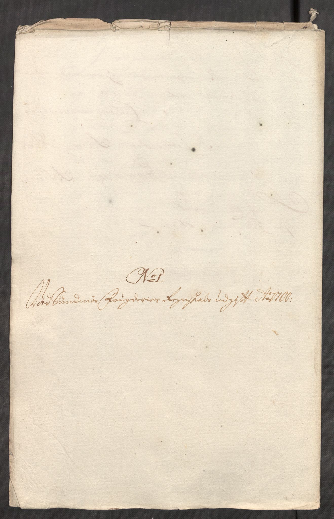 Rentekammeret inntil 1814, Reviderte regnskaper, Fogderegnskap, AV/RA-EA-4092/R54/L3558: Fogderegnskap Sunnmøre, 1700-1701, p. 288