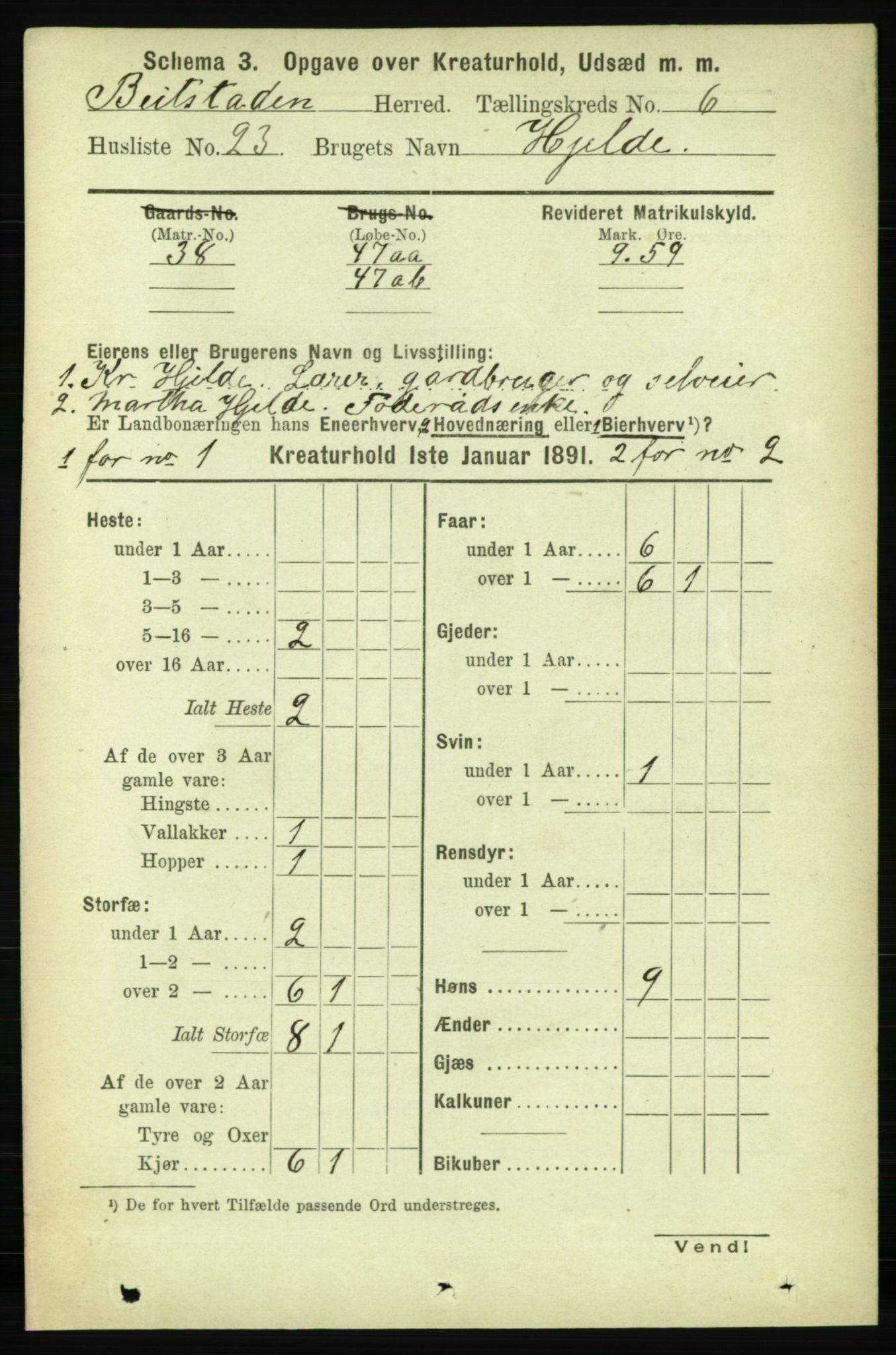 RA, 1891 census for 1727 Beitstad, 1891, p. 5893