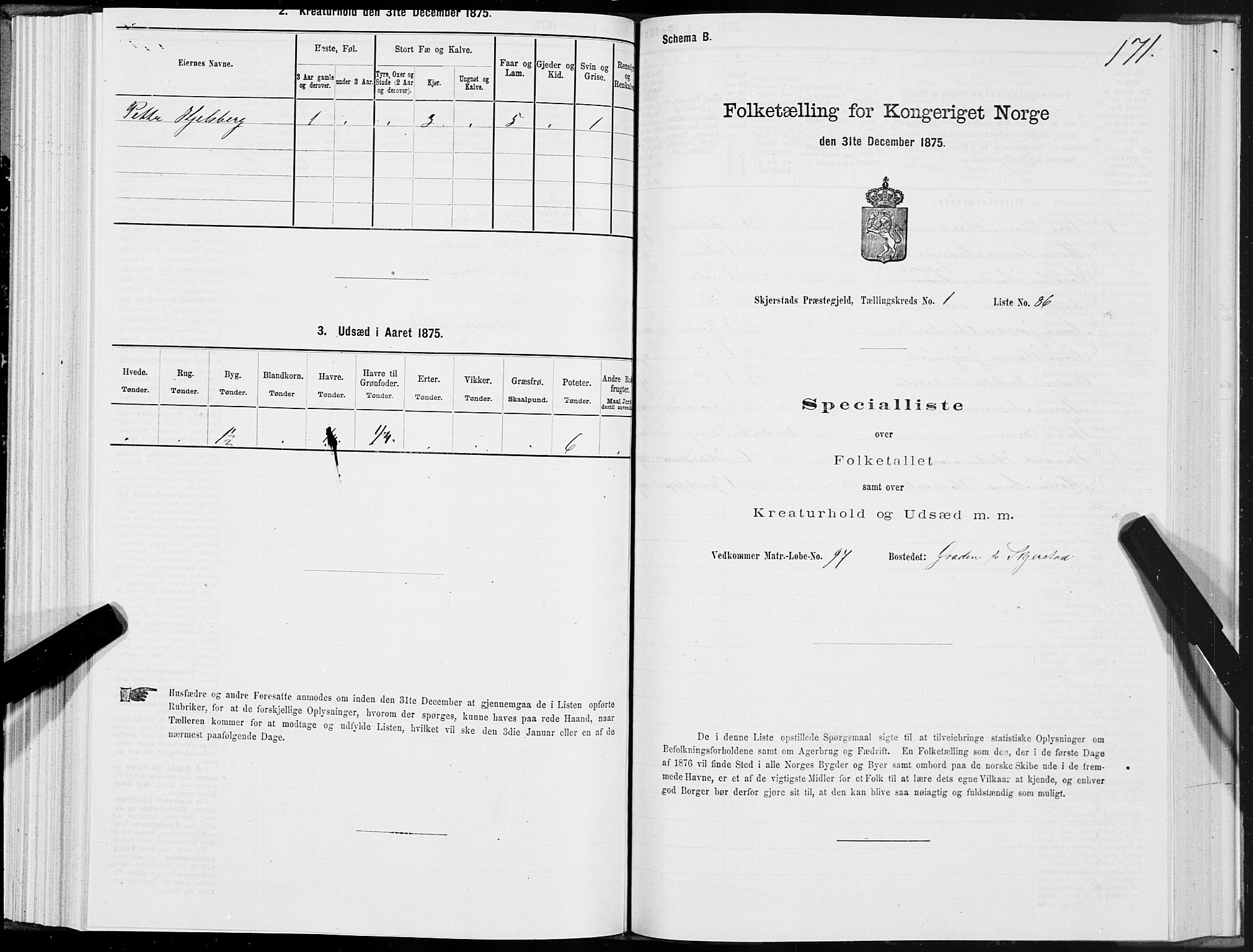 SAT, 1875 census for 1842P Skjerstad, 1875, p. 1171