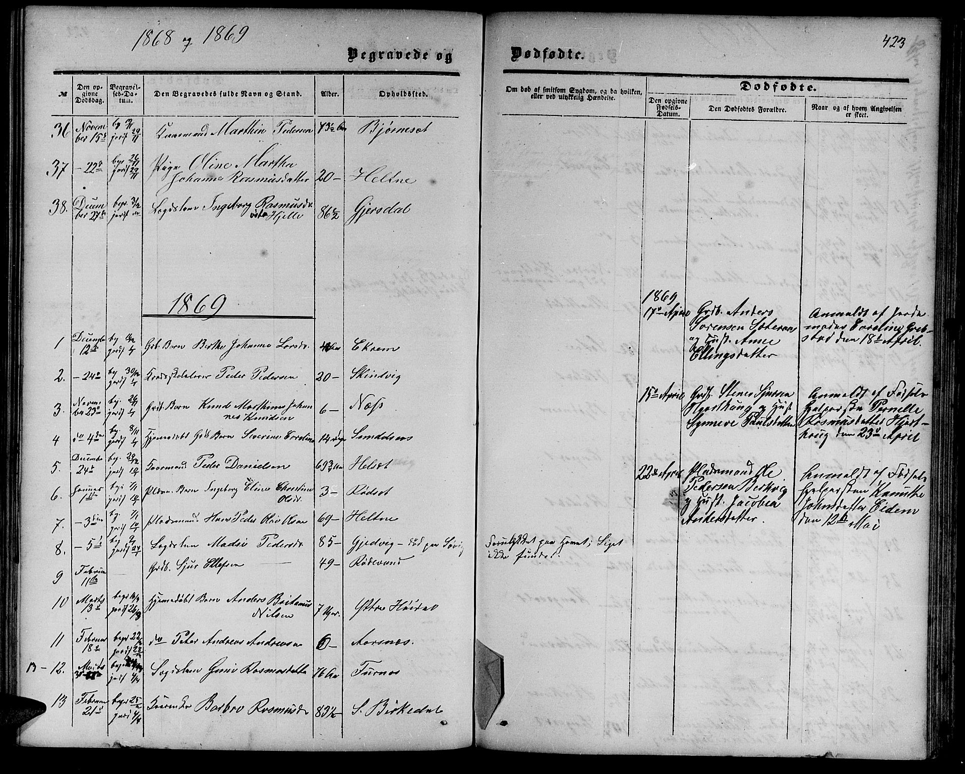 Ministerialprotokoller, klokkerbøker og fødselsregistre - Møre og Romsdal, AV/SAT-A-1454/511/L0157: Parish register (copy) no. 511C03, 1864-1884, p. 423