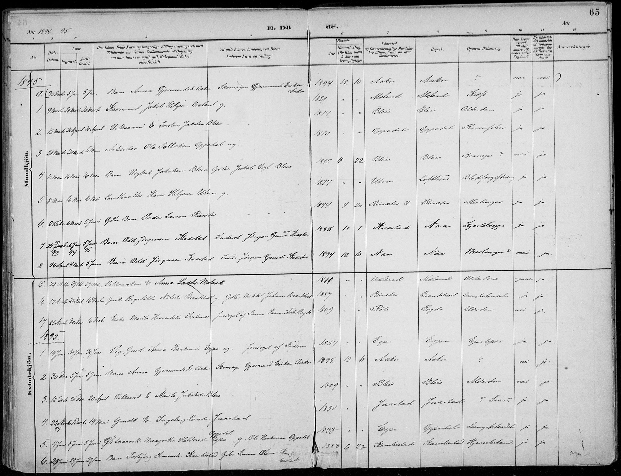 Ullensvang sokneprestembete, AV/SAB-A-78701/H/Haa: Parish register (official) no. B  3, 1882-1911, p. 65