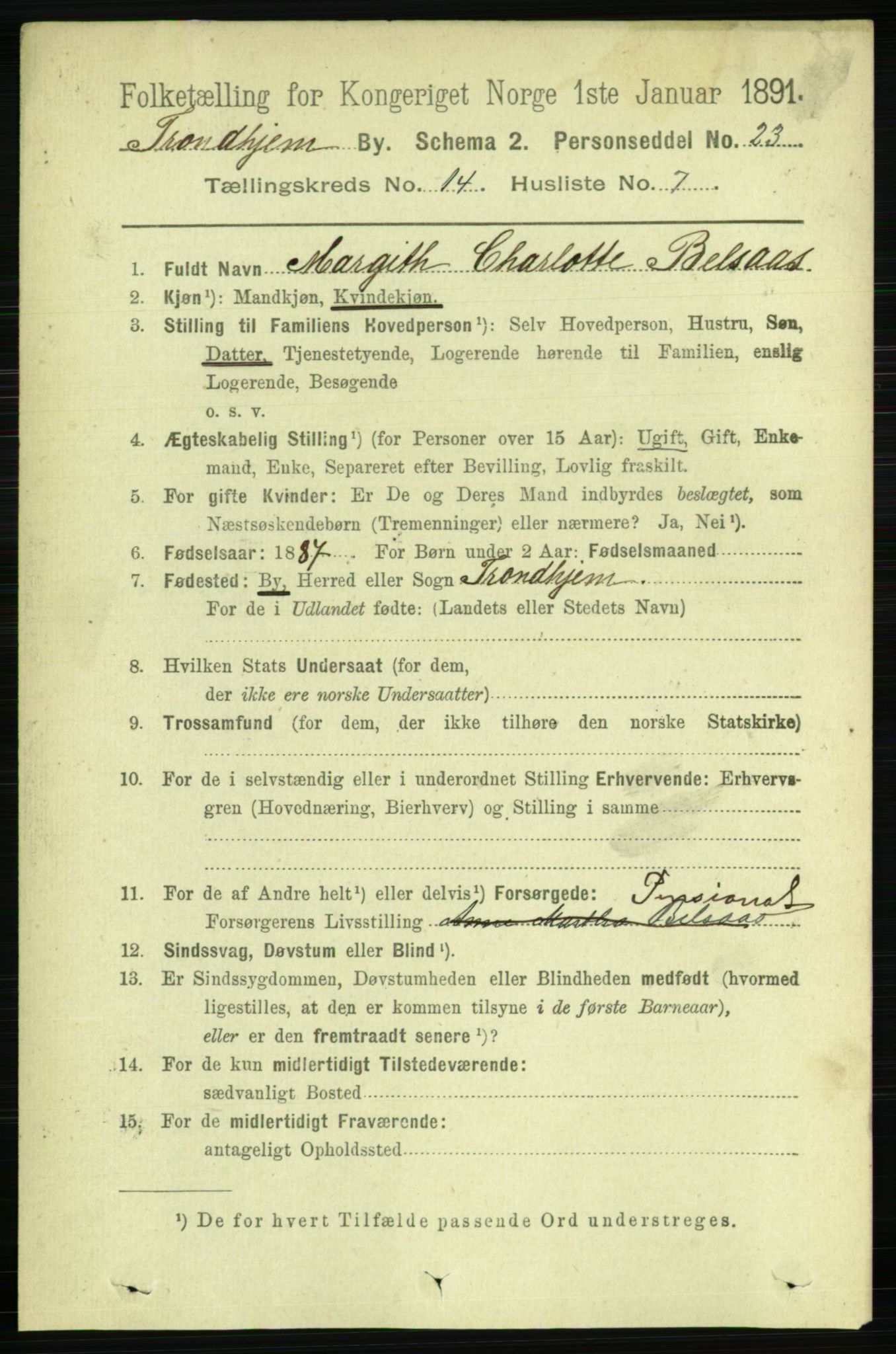 RA, 1891 census for 1601 Trondheim, 1891, p. 11002