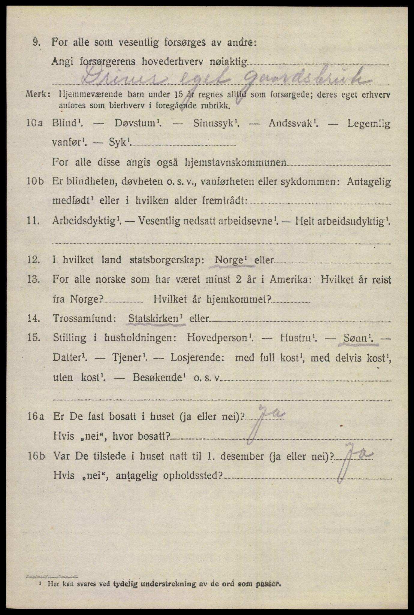 SAKO, 1920 census for Hol (Buskerud), 1920, p. 1192