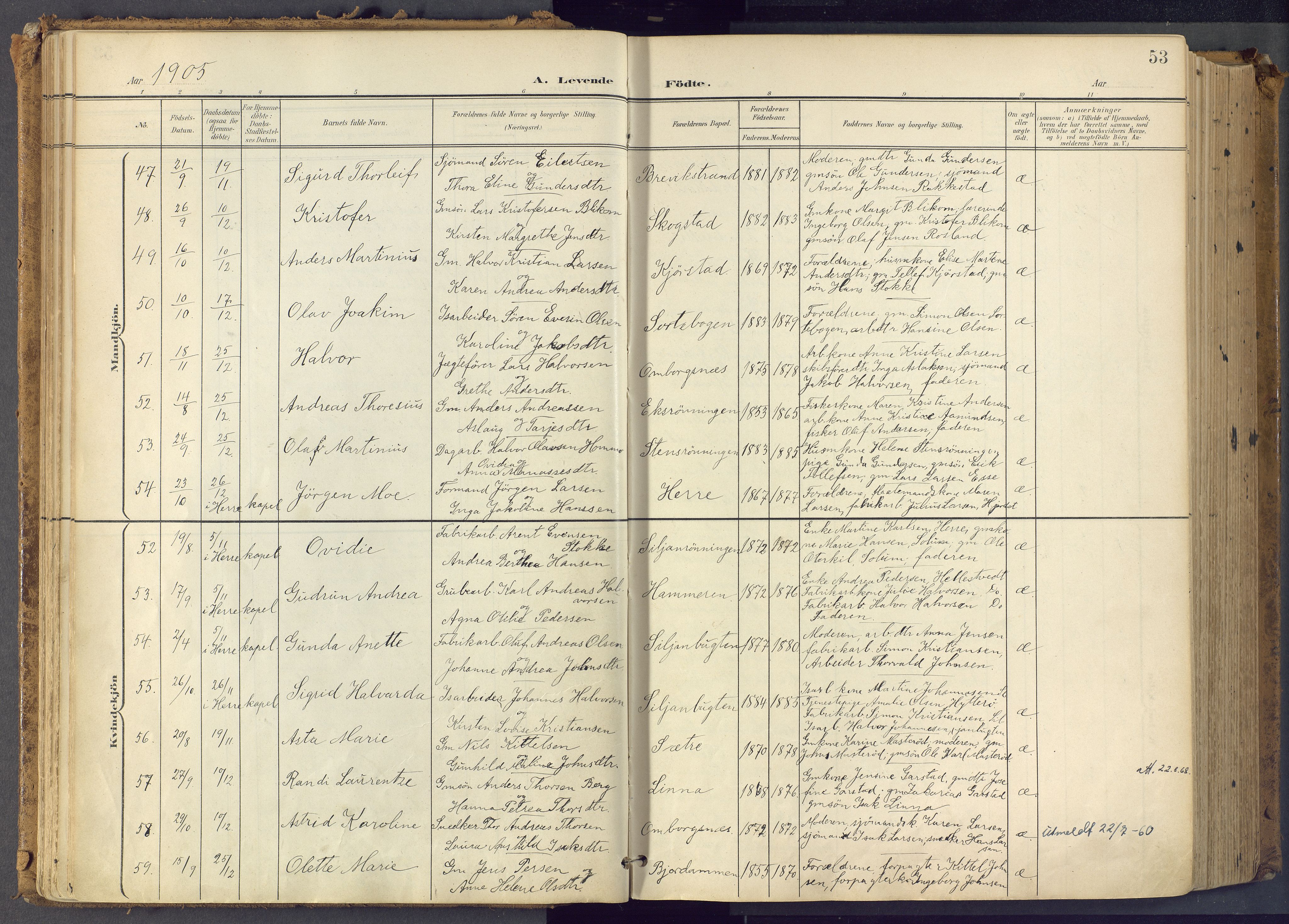 Bamble kirkebøker, SAKO/A-253/F/Fa/L0009: Parish register (official) no. I 9, 1901-1917, p. 53