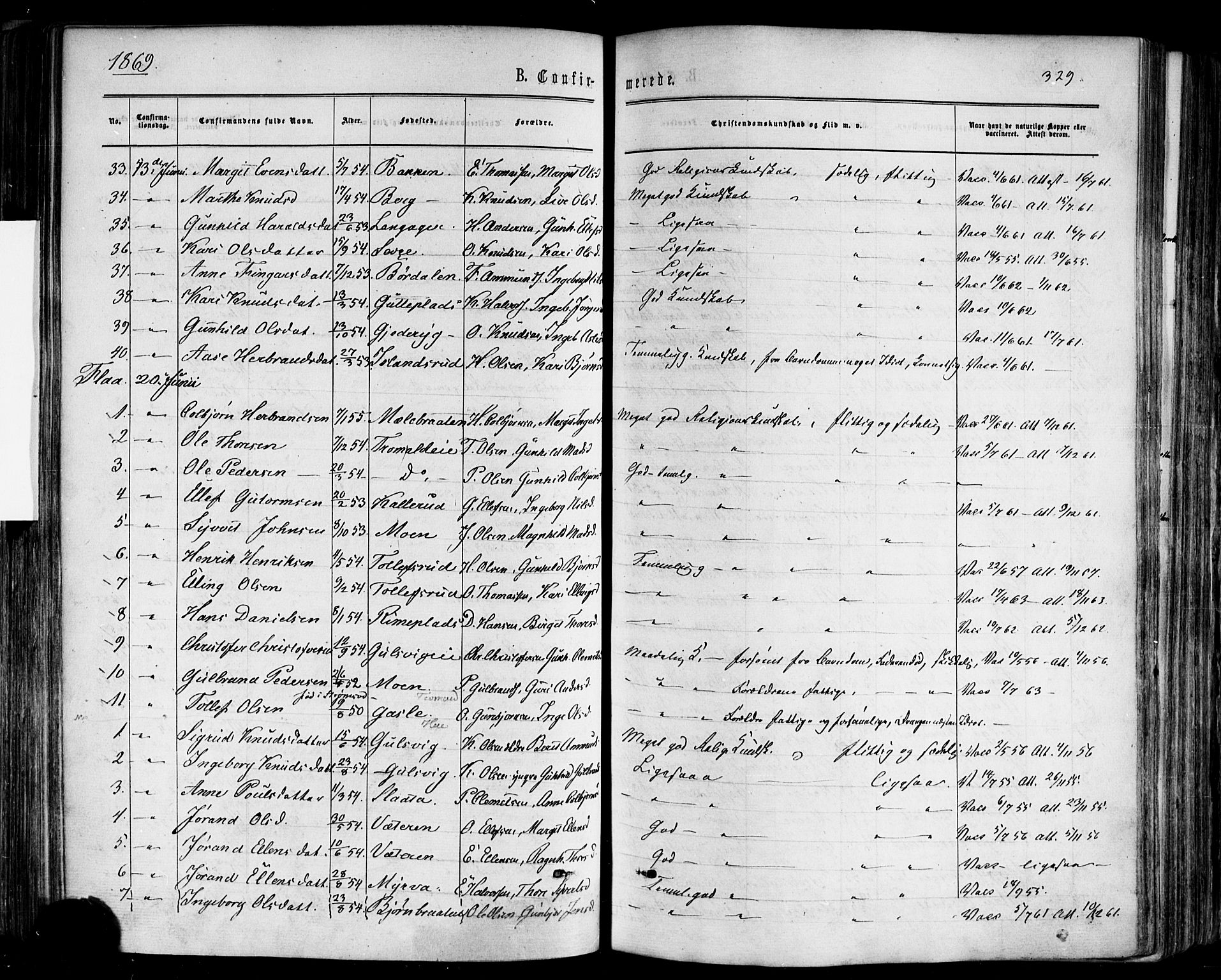 Nes kirkebøker, AV/SAKO-A-236/F/Fa/L0010: Parish register (official) no. 10, 1864-1880, p. 329