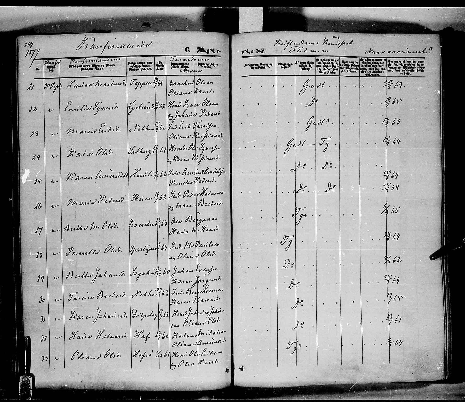 Hof prestekontor, AV/SAH-PREST-038/H/Ha/Haa/L0009: Parish register (official) no. 9, 1862-1877, p. 247