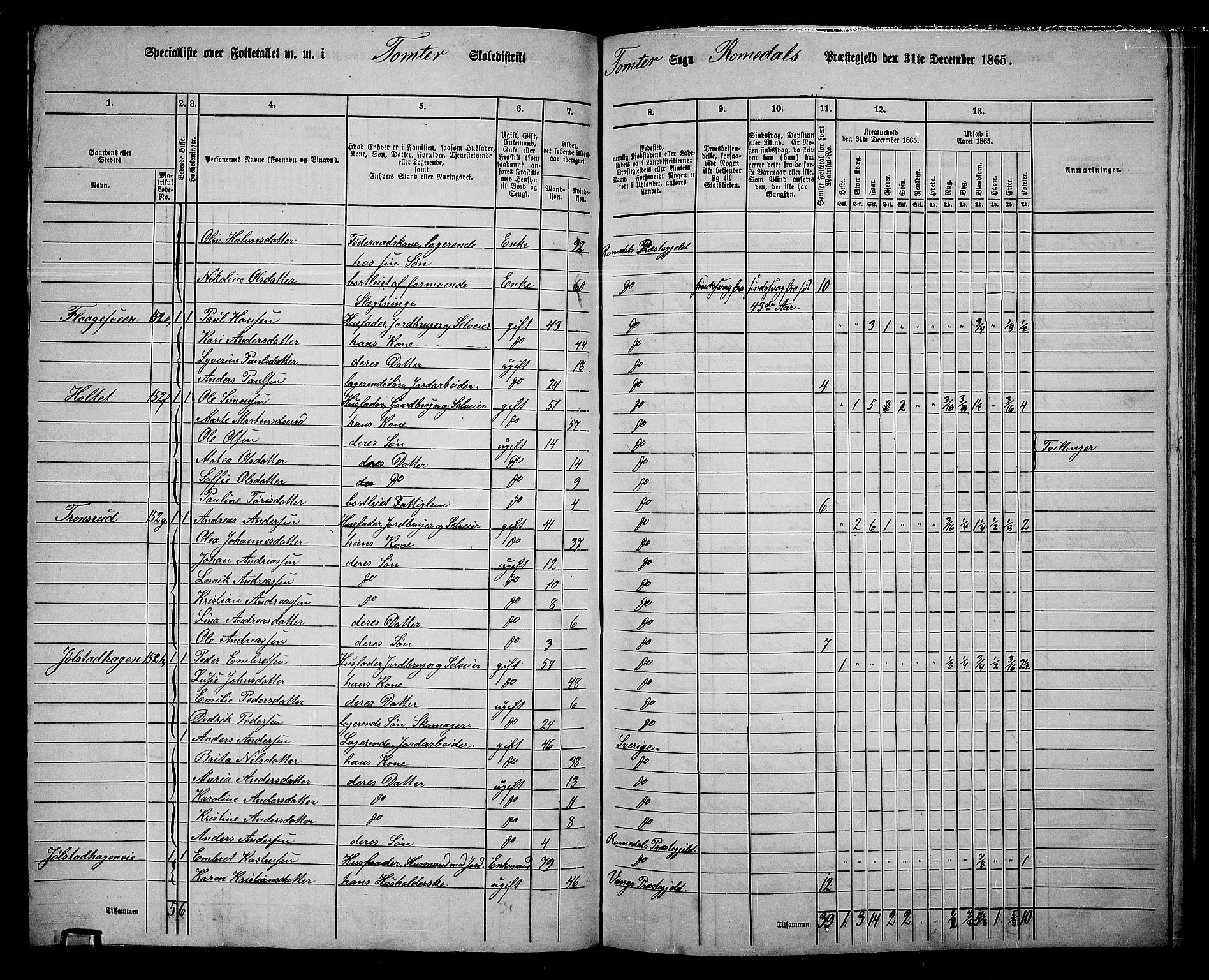 RA, 1865 census for Romedal, 1865, p. 137