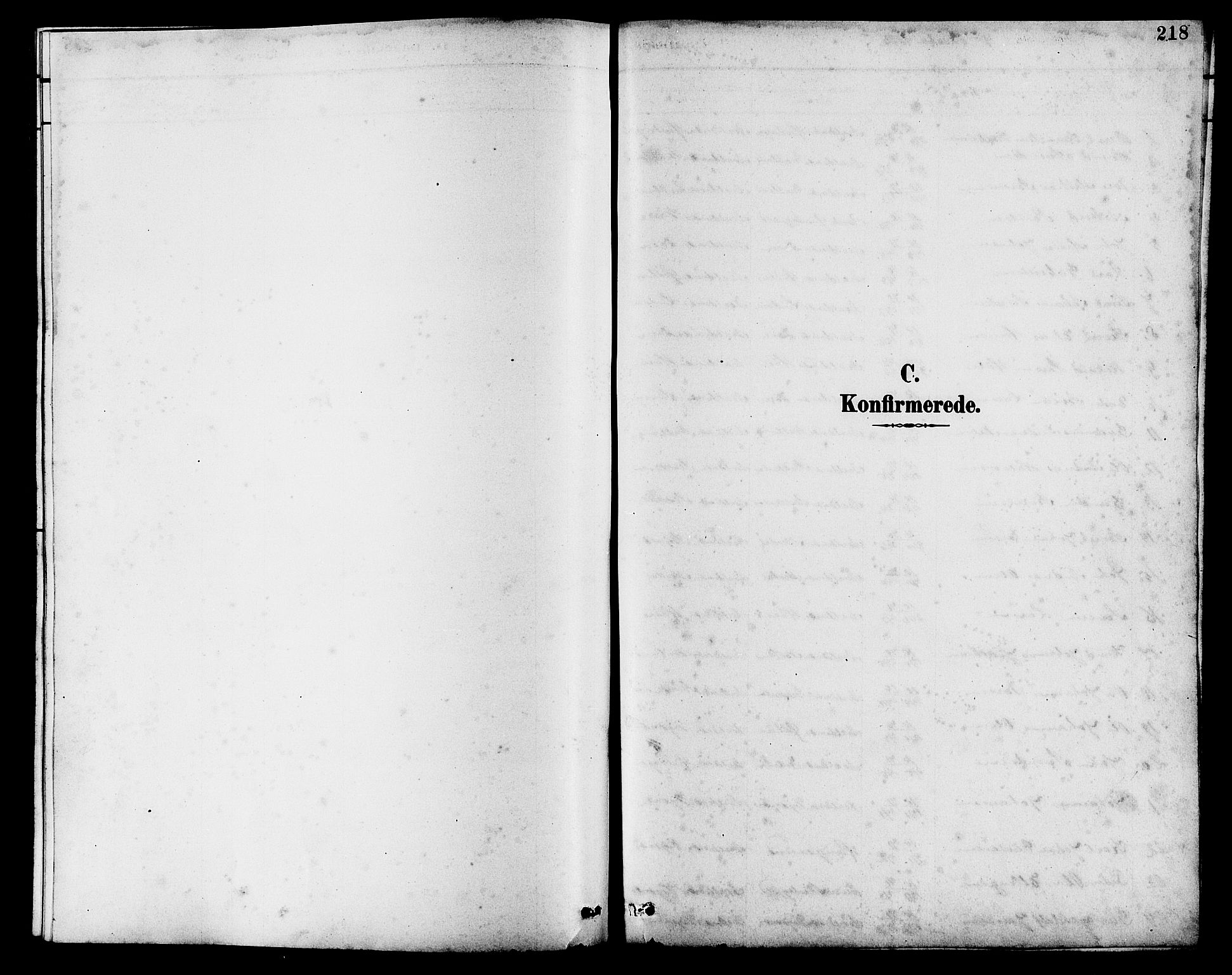 Avaldsnes sokneprestkontor, SAST/A -101851/H/Ha/Hab/L0007: Parish register (copy) no. B 7, 1885-1909, p. 218