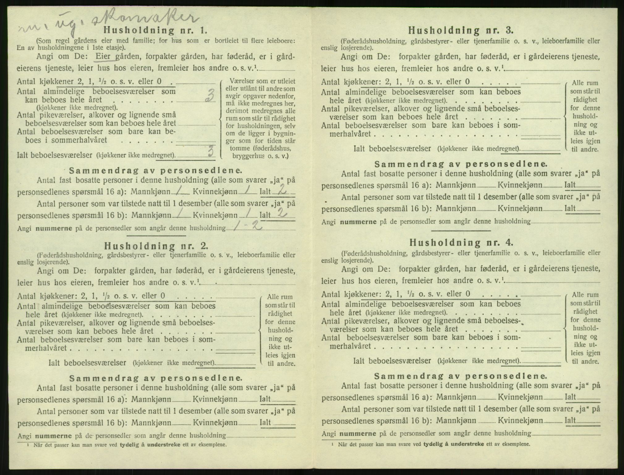 SAT, 1920 census for Sunnylven, 1920, p. 101