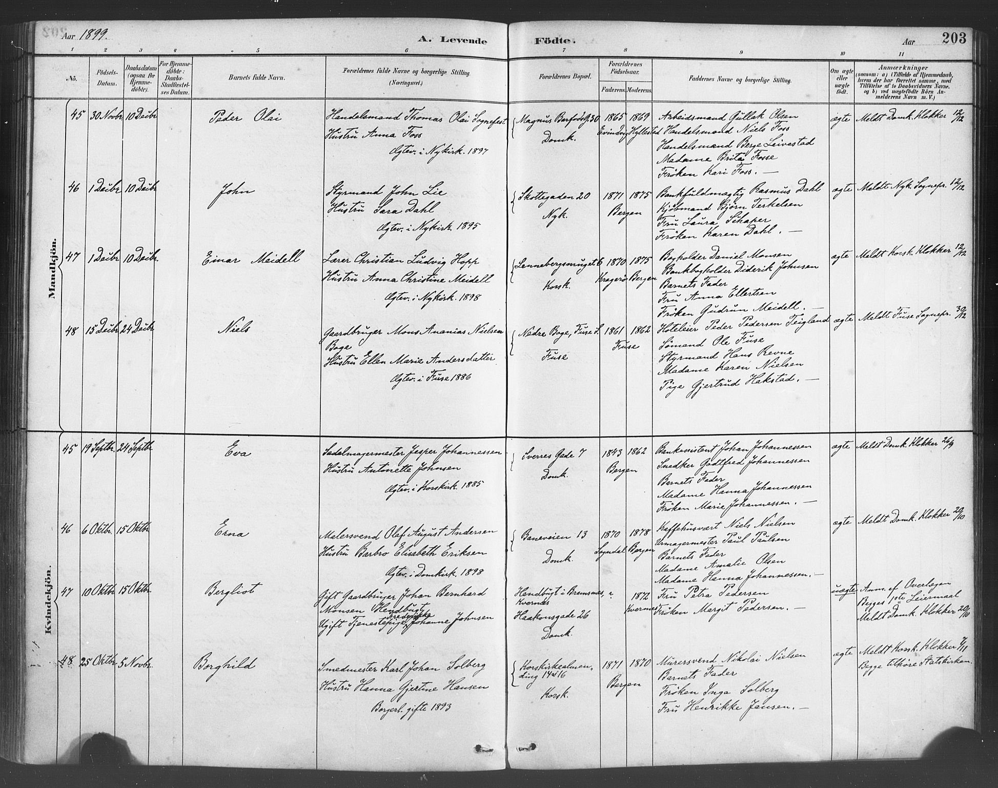 Fødselsstiftelsens sokneprestembete*, SAB/-: Parish register (official) no. A 2, 1884-1900, p. 203