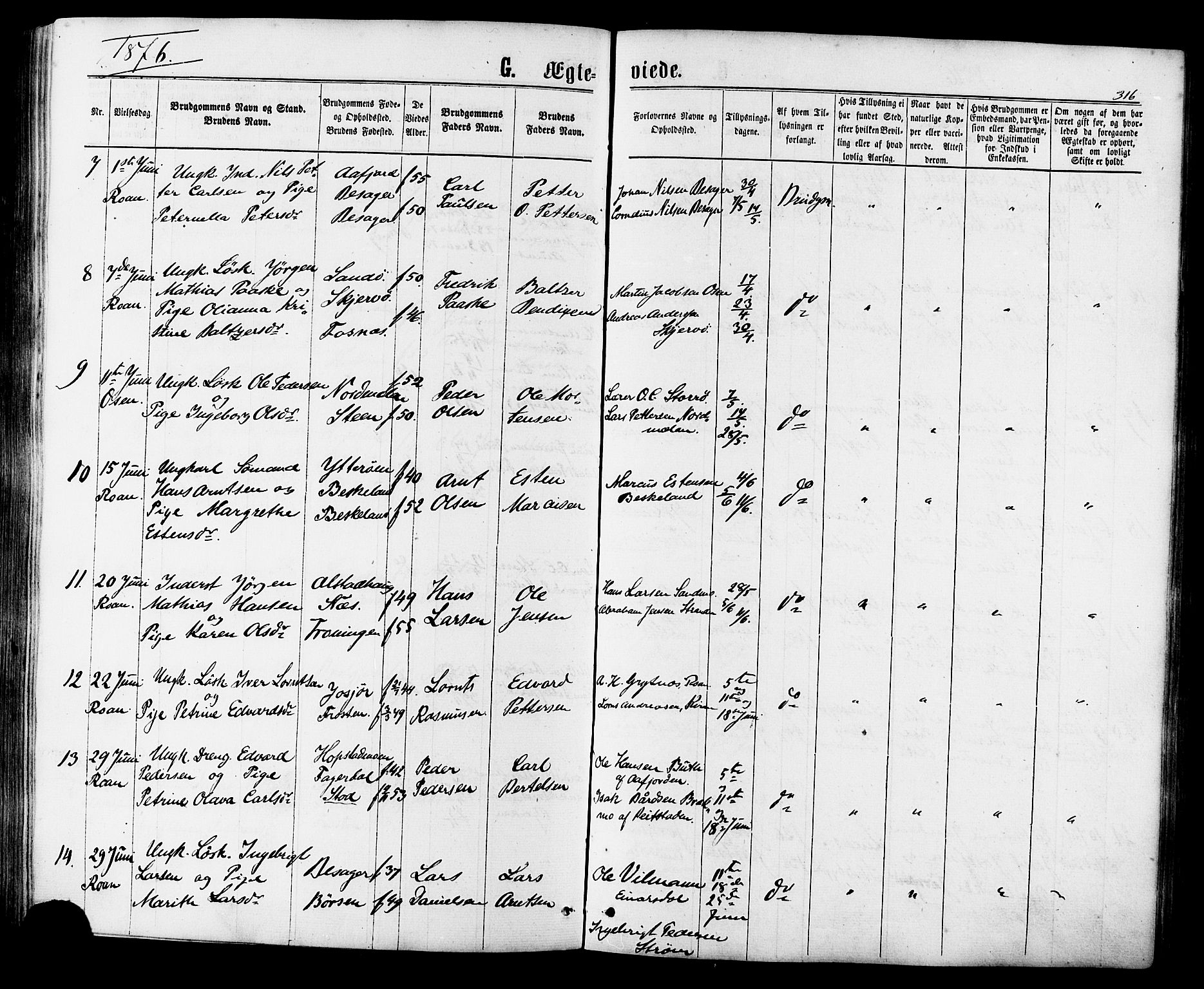 Ministerialprotokoller, klokkerbøker og fødselsregistre - Sør-Trøndelag, AV/SAT-A-1456/657/L0706: Parish register (official) no. 657A07, 1867-1878, p. 316