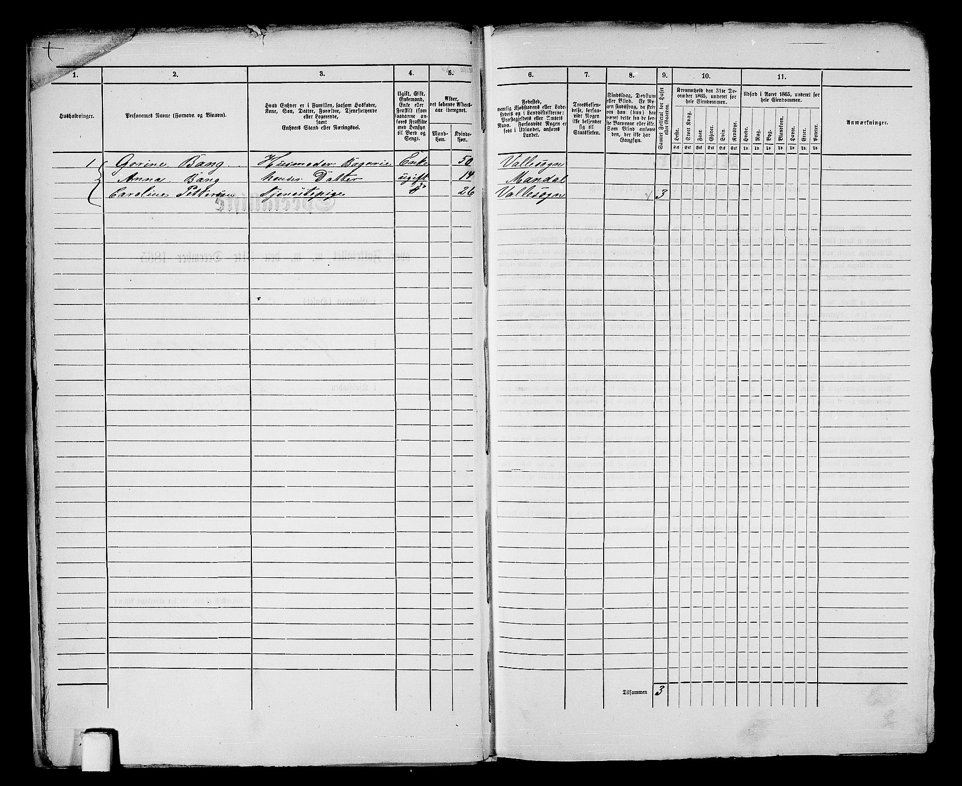 RA, 1865 census for Mandal/Mandal, 1865, p. 17