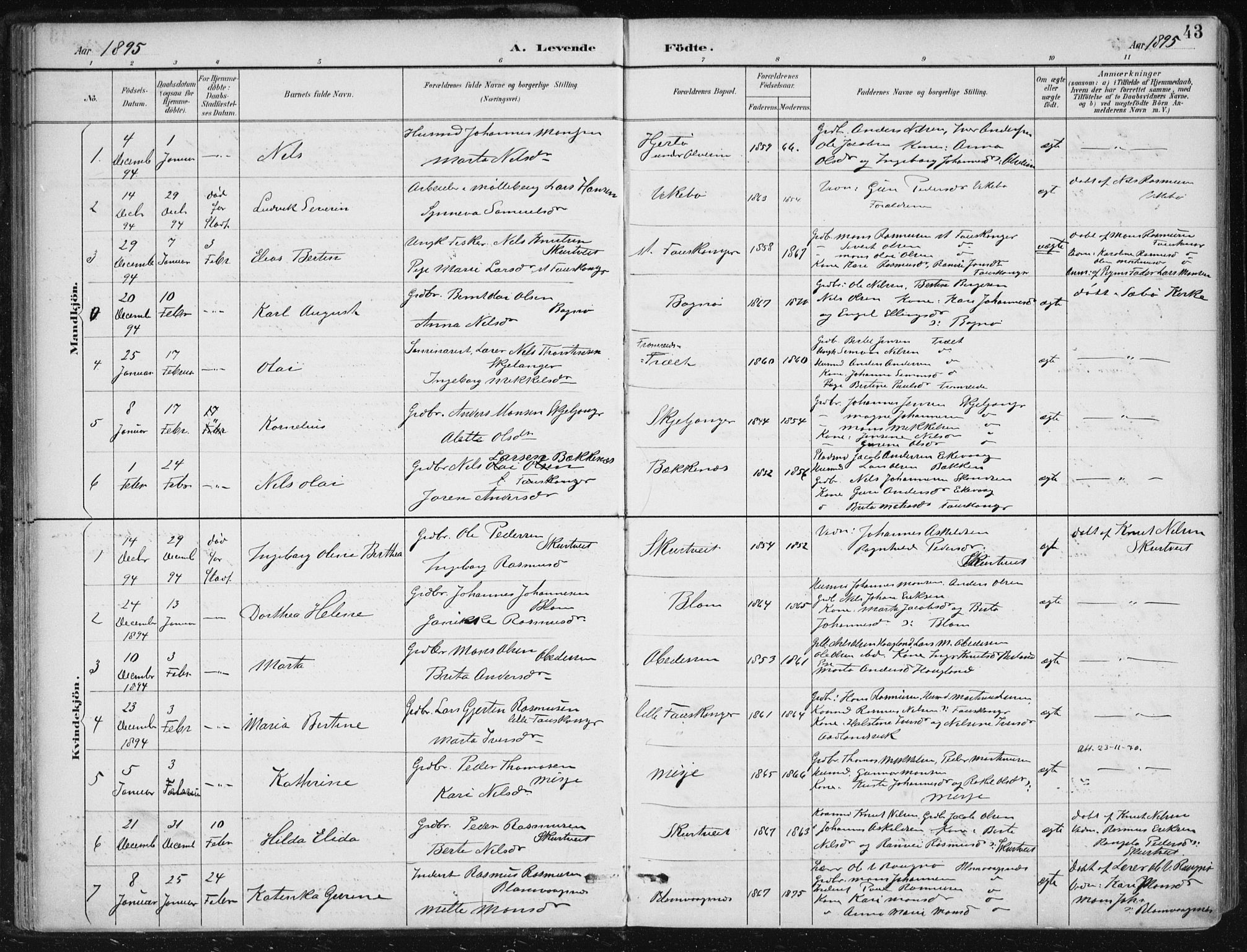 Herdla Sokneprestembete, SAB/A-75701/H/Haa: Parish register (official) no. A 4, 1891-1905, p. 43
