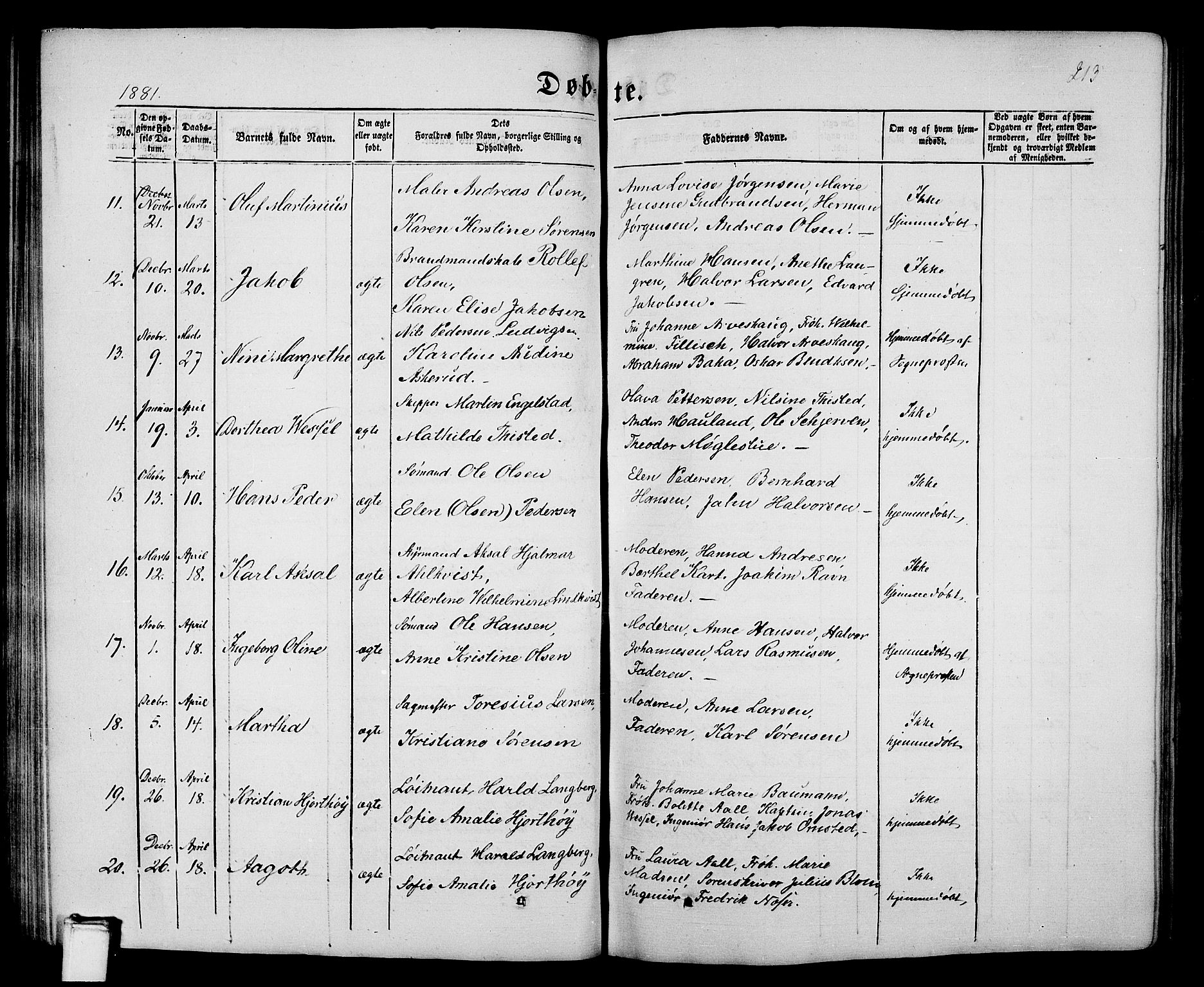 Porsgrunn kirkebøker , SAKO/A-104/G/Gb/L0004: Parish register (copy) no. II 4, 1853-1882, p. 213
