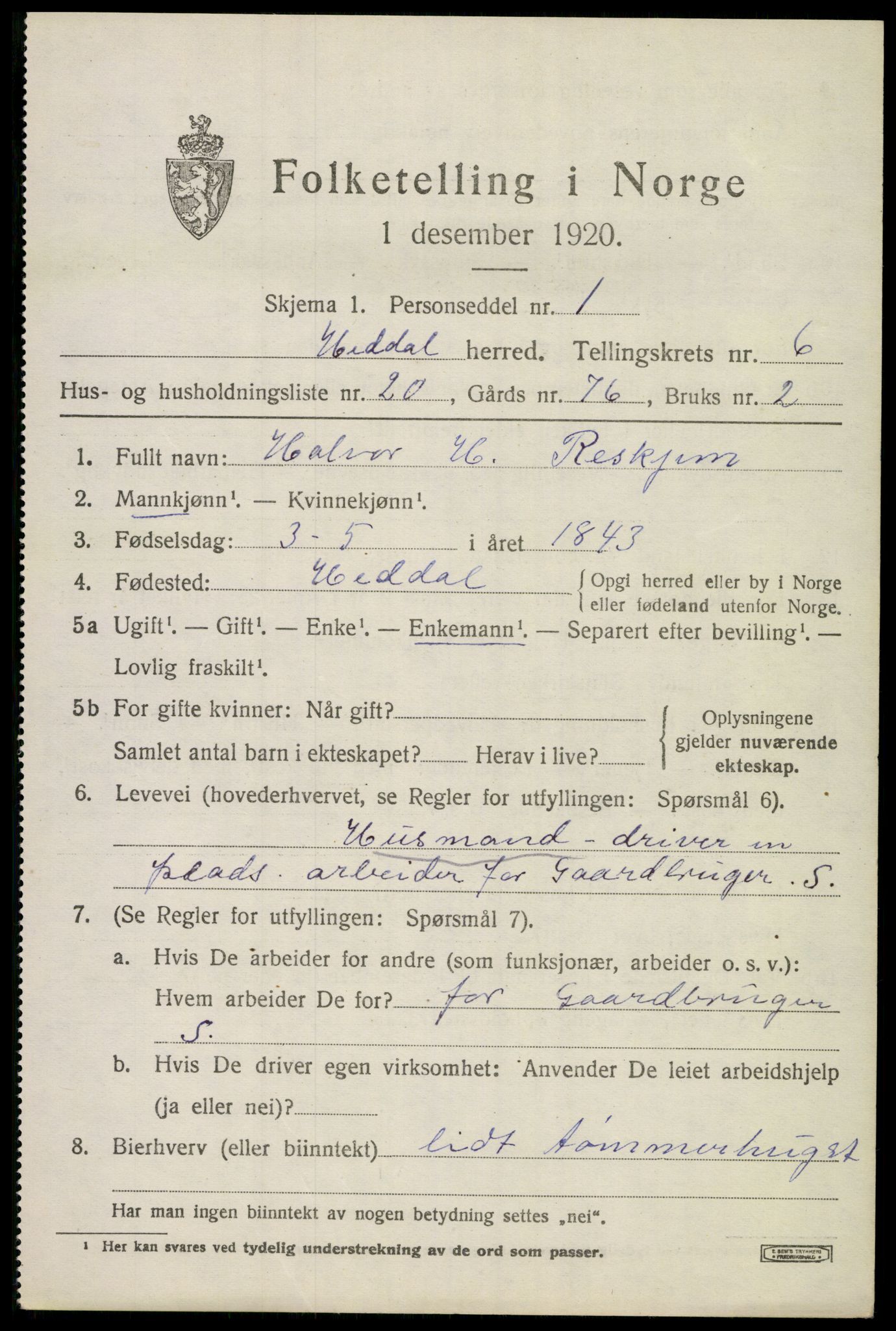 SAKO, 1920 census for Heddal, 1920, p. 5408