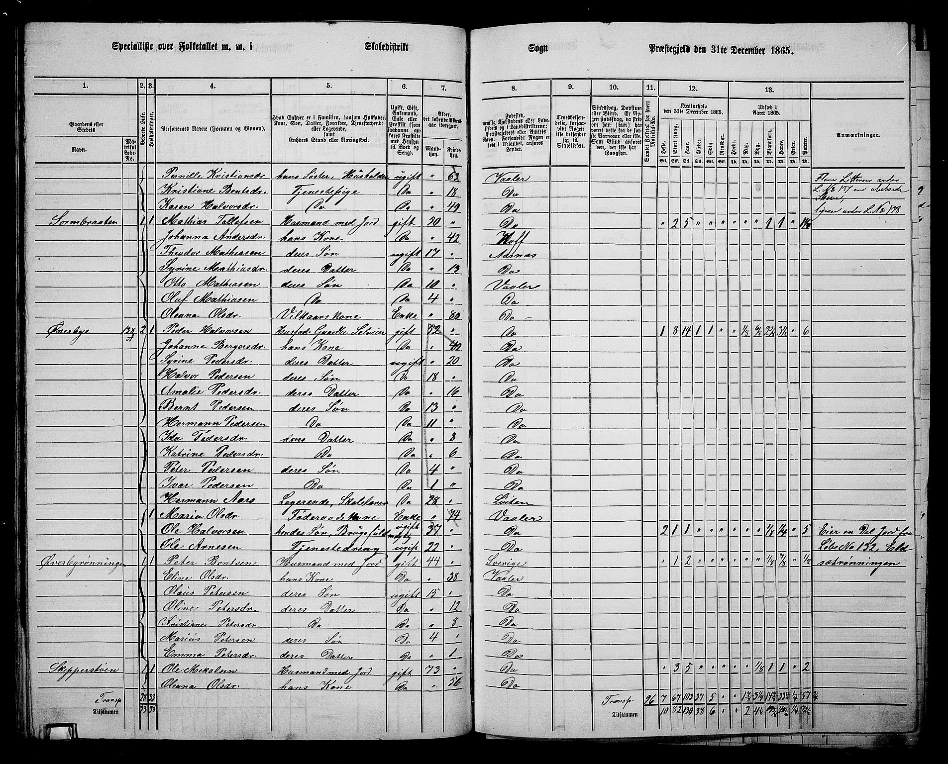 RA, 1865 census for Våler, 1865, p. 84