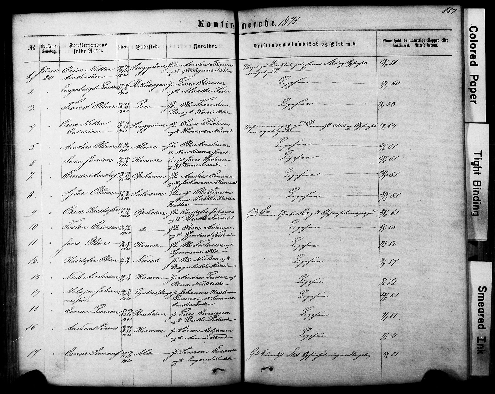 Hafslo sokneprestembete, AV/SAB-A-80301/H/Hab/Haba/L0001: Parish register (copy) no. A 1, 1866-1908, p. 167