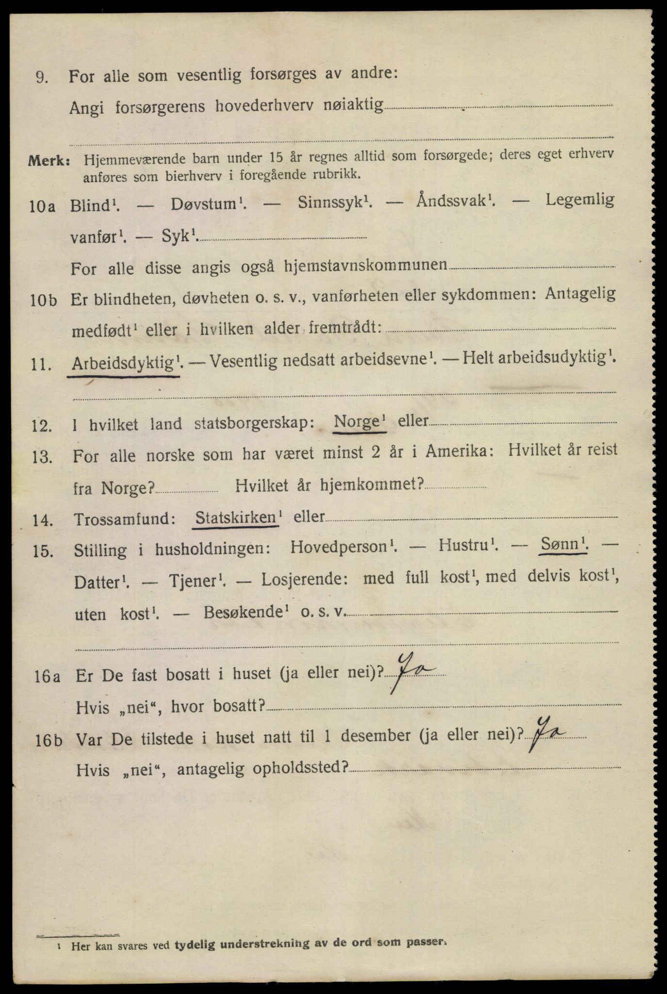 SAKO, 1920 census for Skien, 1920, p. 15167