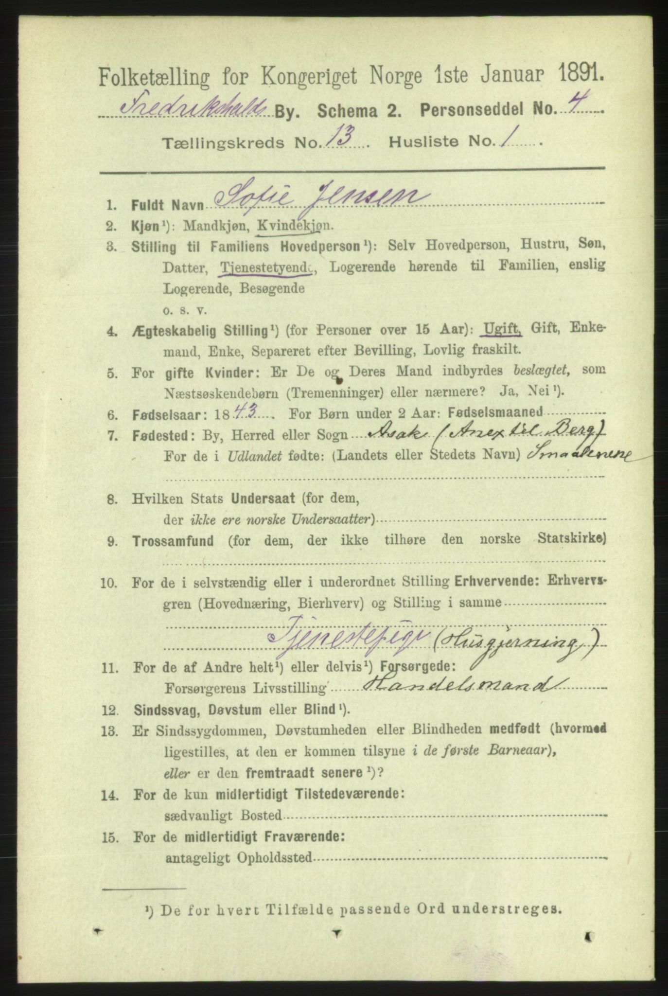 RA, 1891 census for 0101 Fredrikshald, 1891, p. 8789