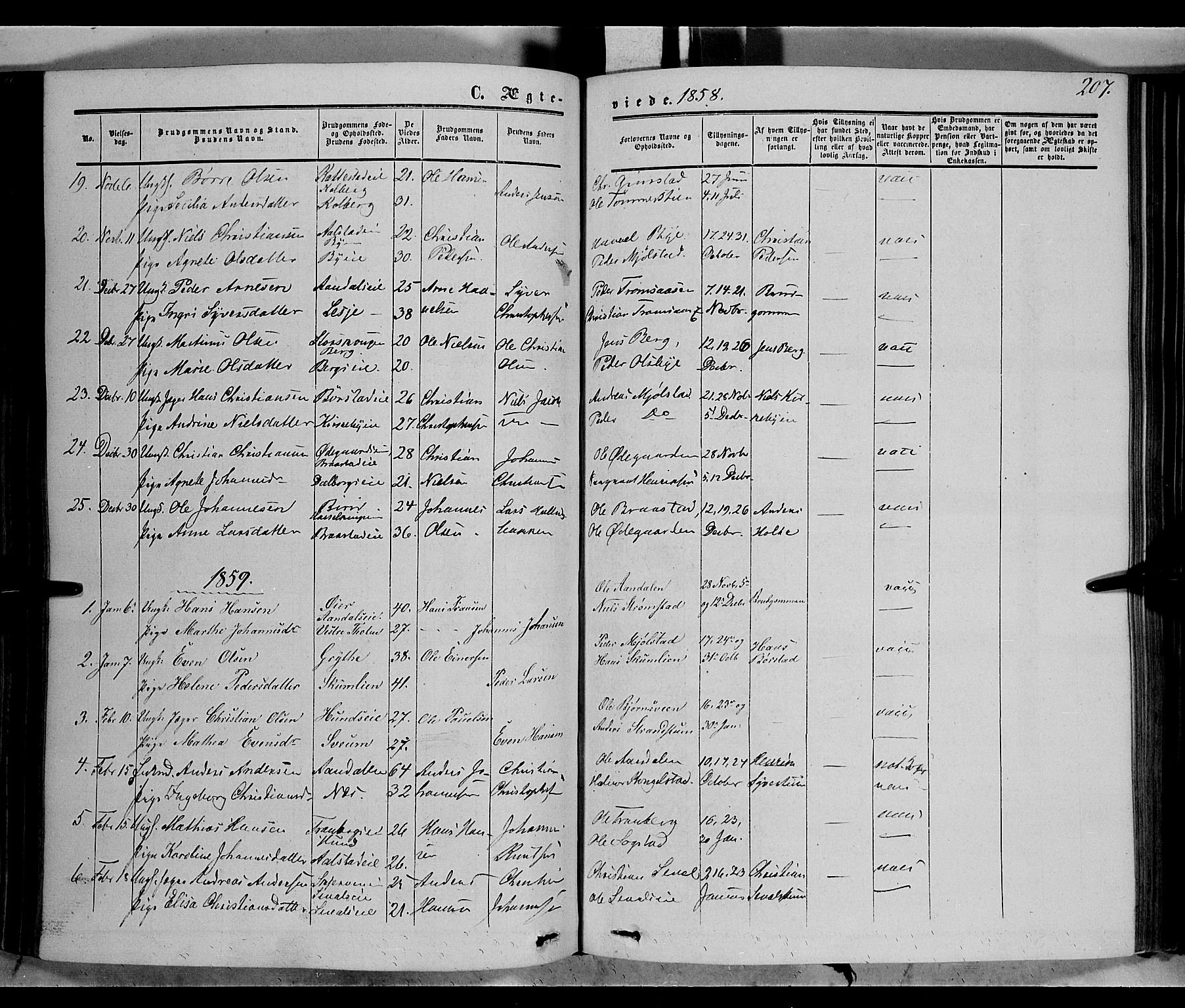 Vardal prestekontor, SAH/PREST-100/H/Ha/Haa/L0006: Parish register (official) no. 6, 1854-1866, p. 207