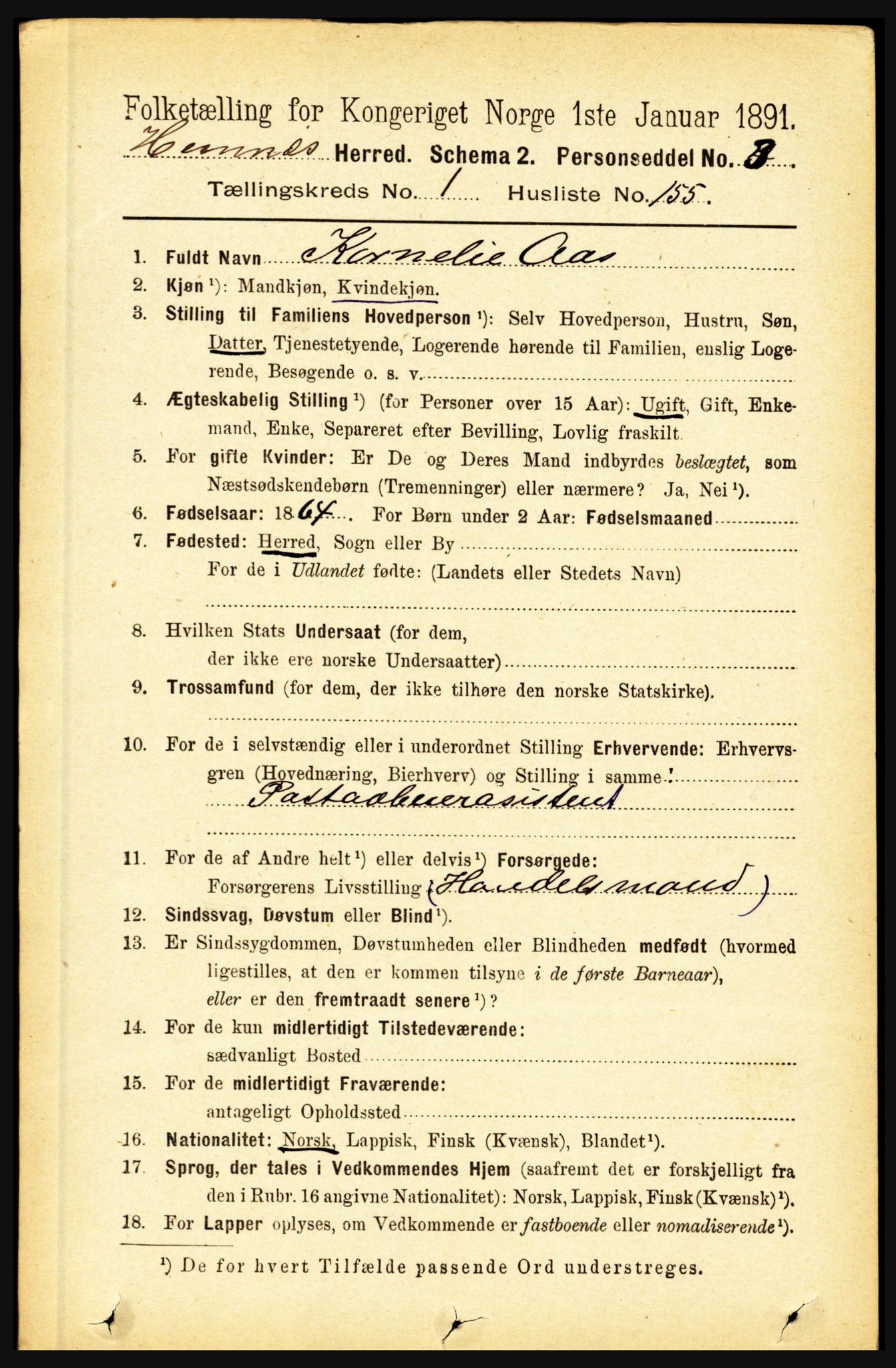 RA, 1891 census for 1832 Hemnes, 1891, p. 1104