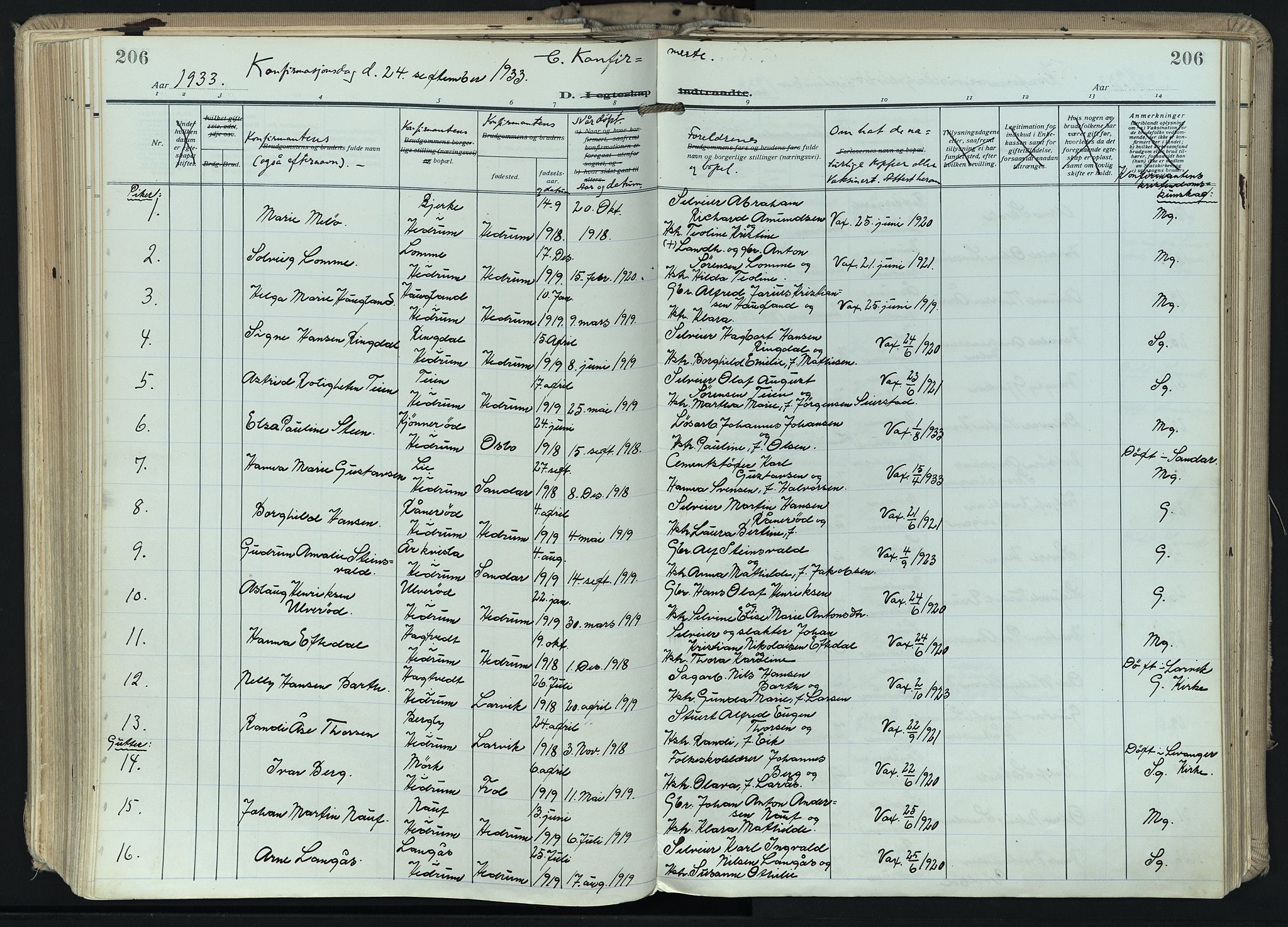 Hedrum kirkebøker, AV/SAKO-A-344/F/Fa/L0011: Parish register (official) no. I 11, 1919-1933, p. 206