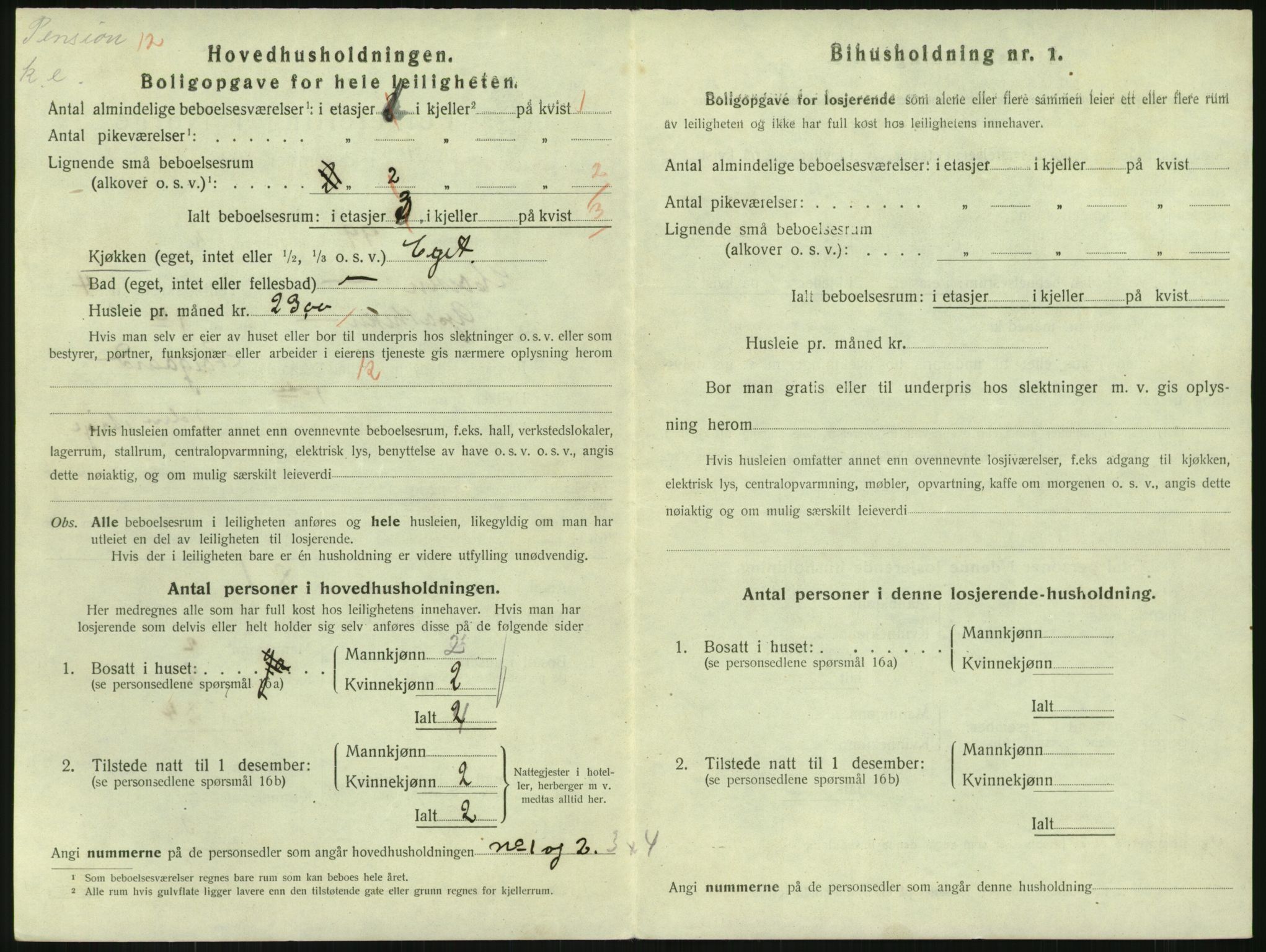 SAKO, 1920 census for Horten, 1920, p. 5296