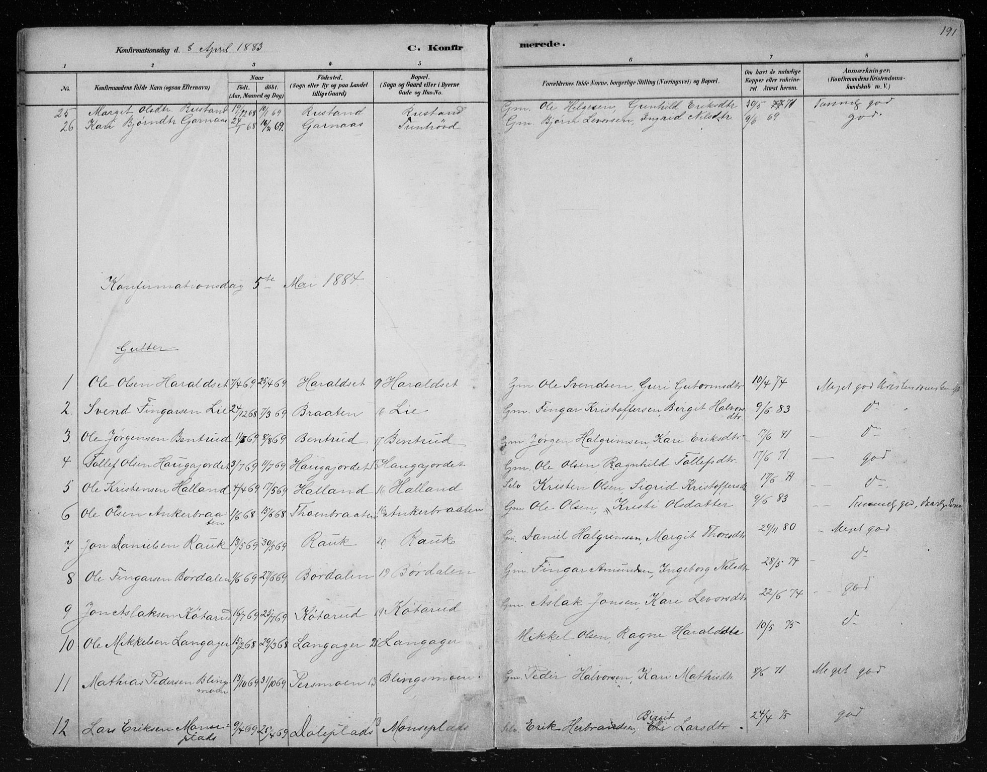 Nes kirkebøker, SAKO/A-236/F/Fa/L0011: Parish register (official) no. 11, 1881-1912, p. 191