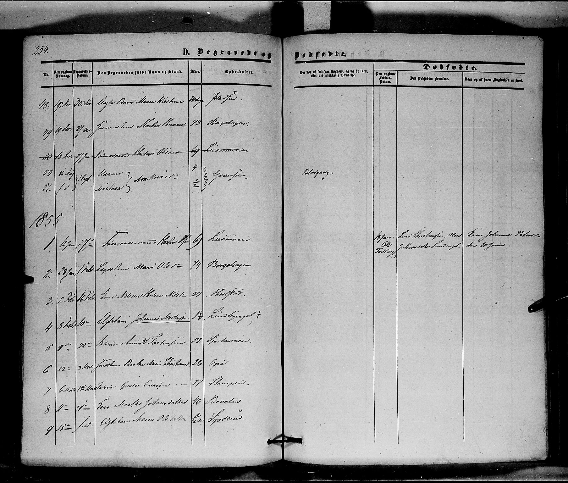 Hof prestekontor, SAH/PREST-038/H/Ha/Haa/L0008: Parish register (official) no. 8, 1849-1861, p. 254