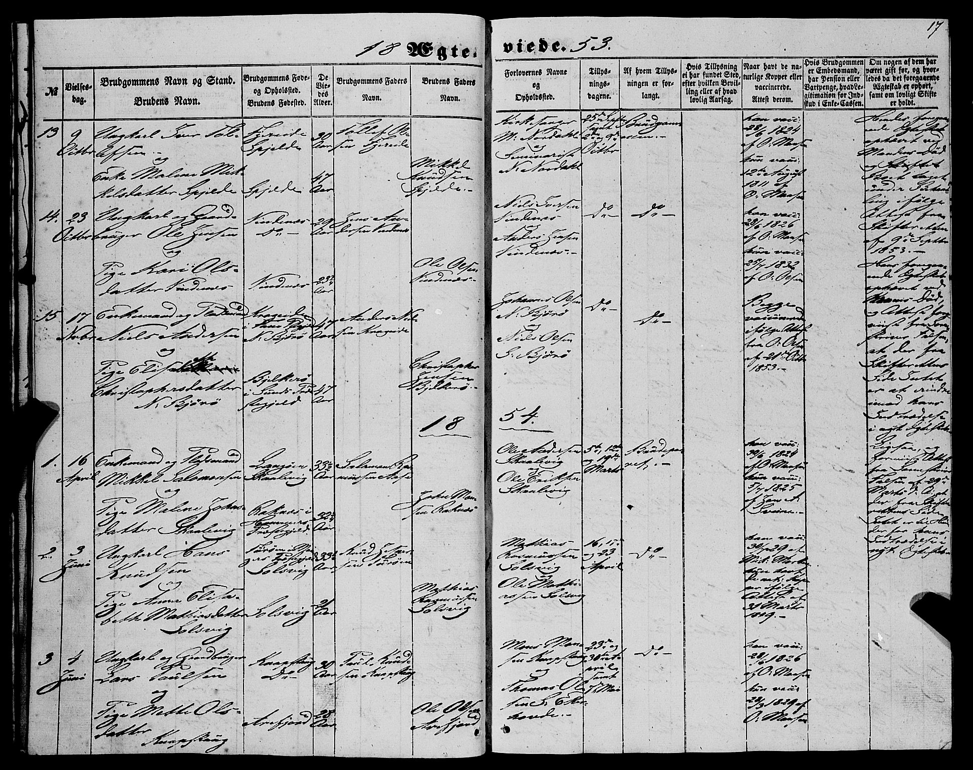 Fjell sokneprestembete, SAB/A-75301/H/Haa: Parish register (official) no. A 6, 1849-1877, p. 17
