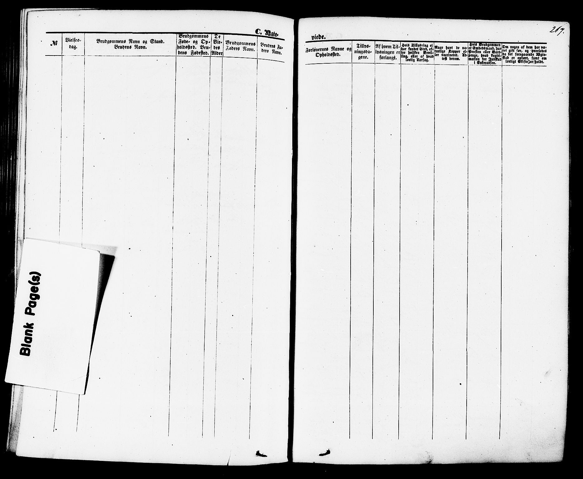 Brevik kirkebøker, SAKO/A-255/F/Fa/L0006: Parish register (official) no. 6, 1866-1881, p. 207