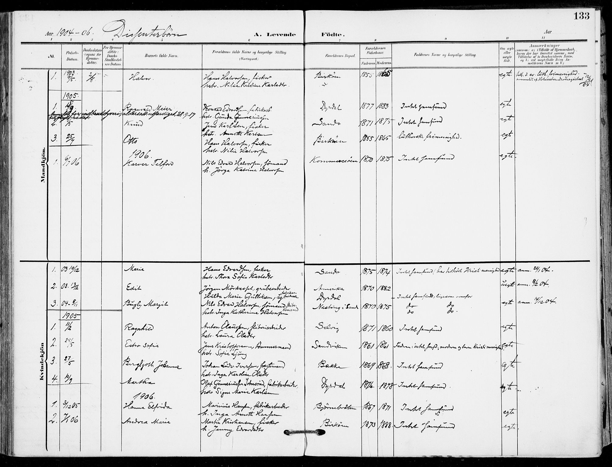 Sande Kirkebøker, SAKO/A-53/F/Fa/L0008: Parish register (official) no. 8, 1904-1921, p. 133