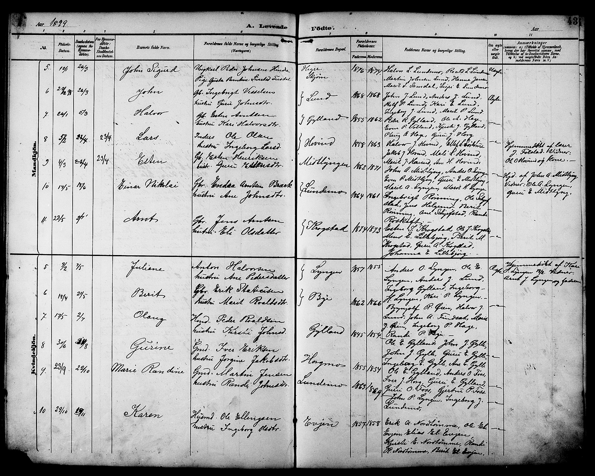 Ministerialprotokoller, klokkerbøker og fødselsregistre - Sør-Trøndelag, SAT/A-1456/692/L1111: Parish register (copy) no. 692C06, 1890-1904, p. 43
