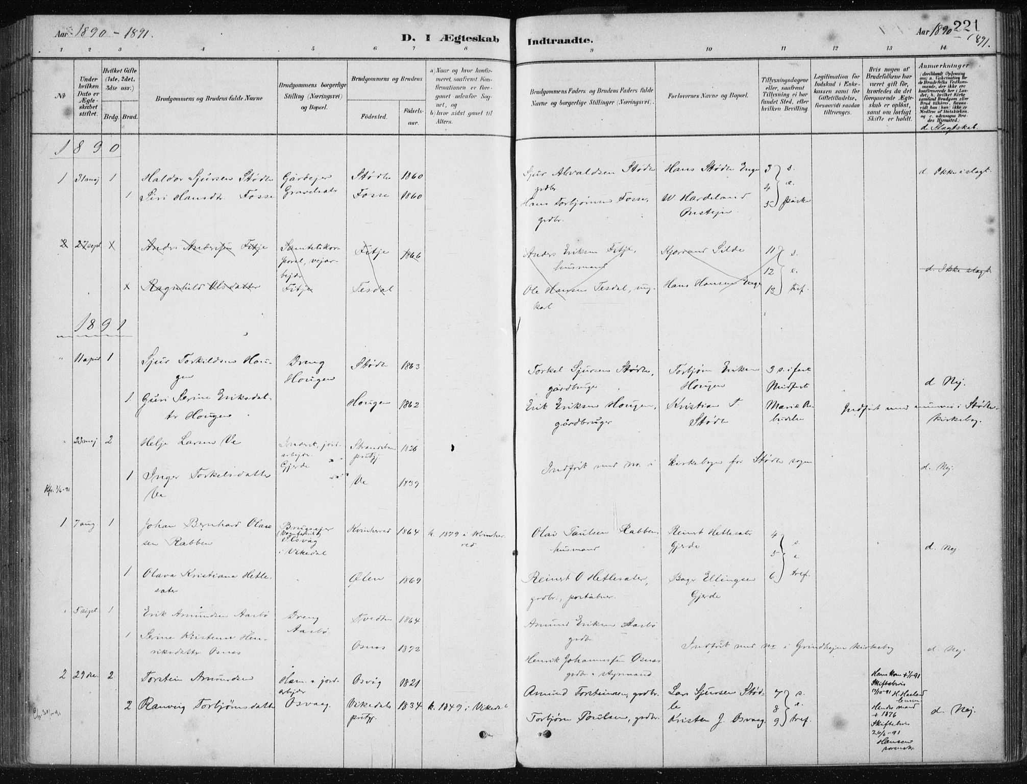 Etne sokneprestembete, AV/SAB-A-75001/H/Haa: Parish register (official) no. C  1, 1879-1919, p. 221