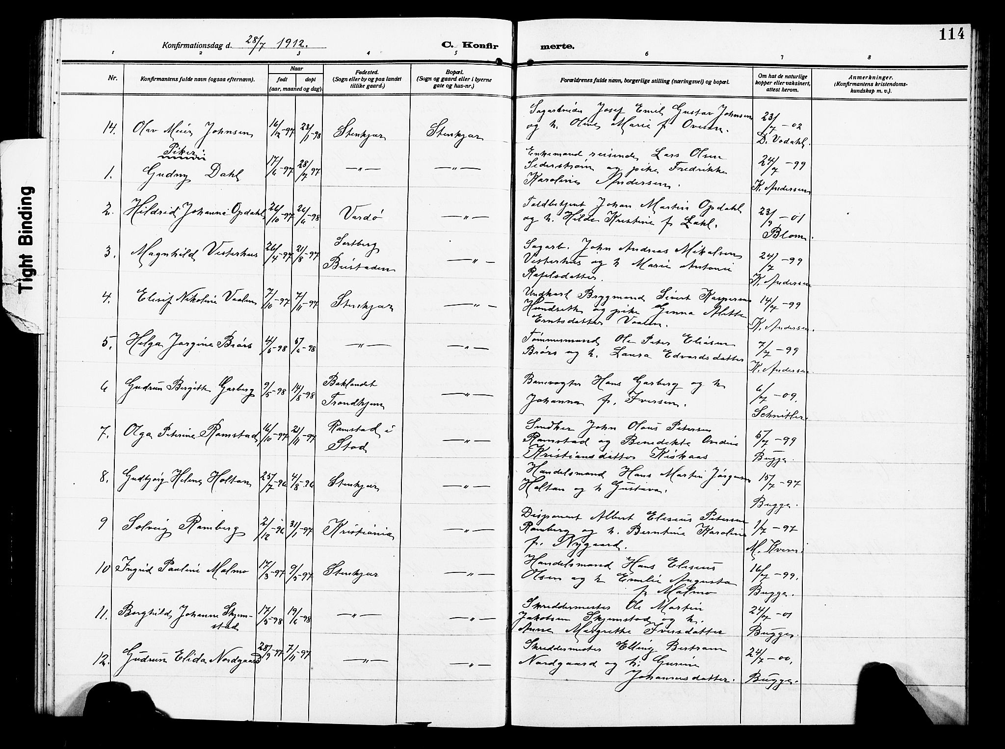 Ministerialprotokoller, klokkerbøker og fødselsregistre - Nord-Trøndelag, SAT/A-1458/739/L0376: Parish register (copy) no. 739C04, 1908-1917, p. 114