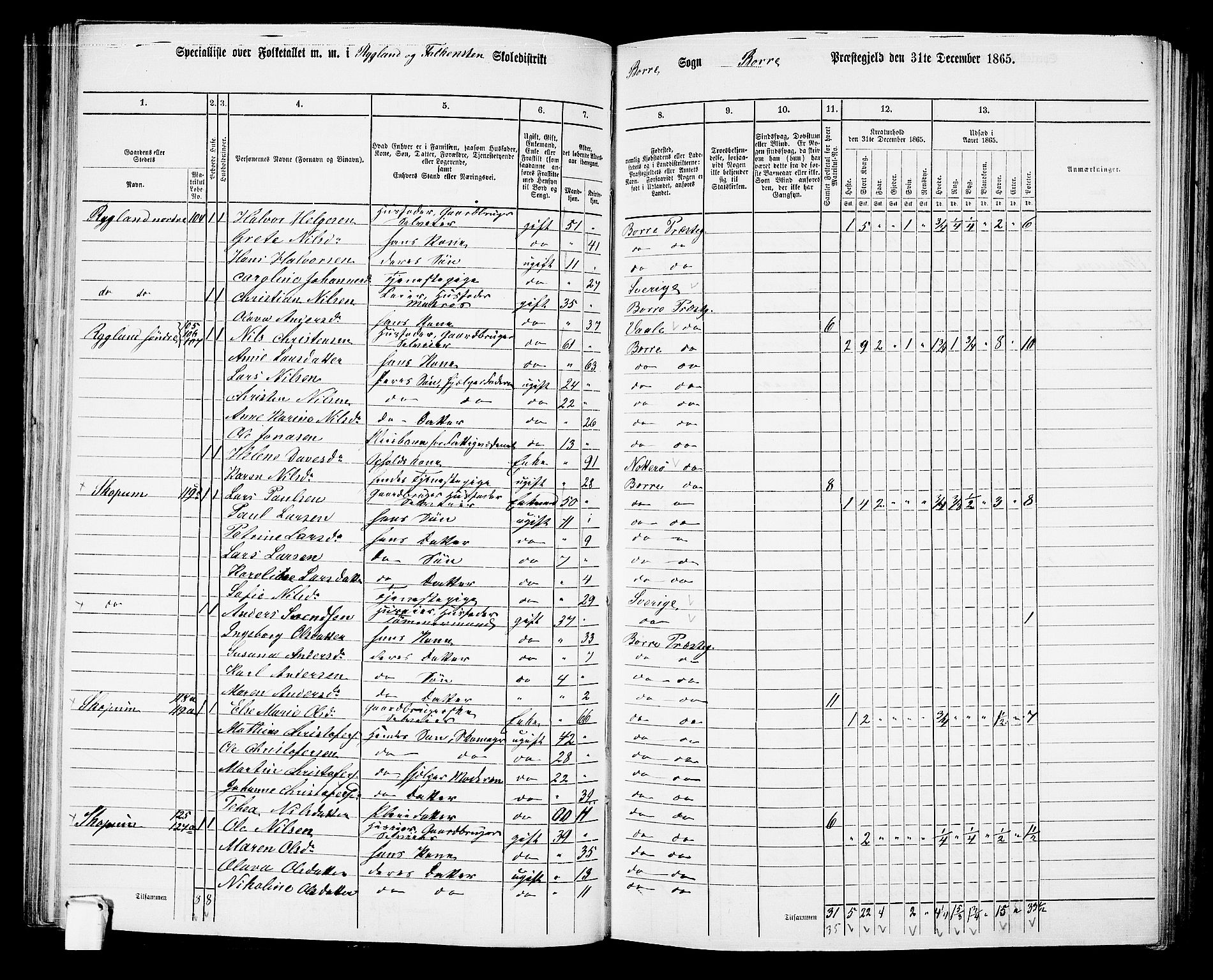 RA, 1865 census for Borre, 1865, p. 114