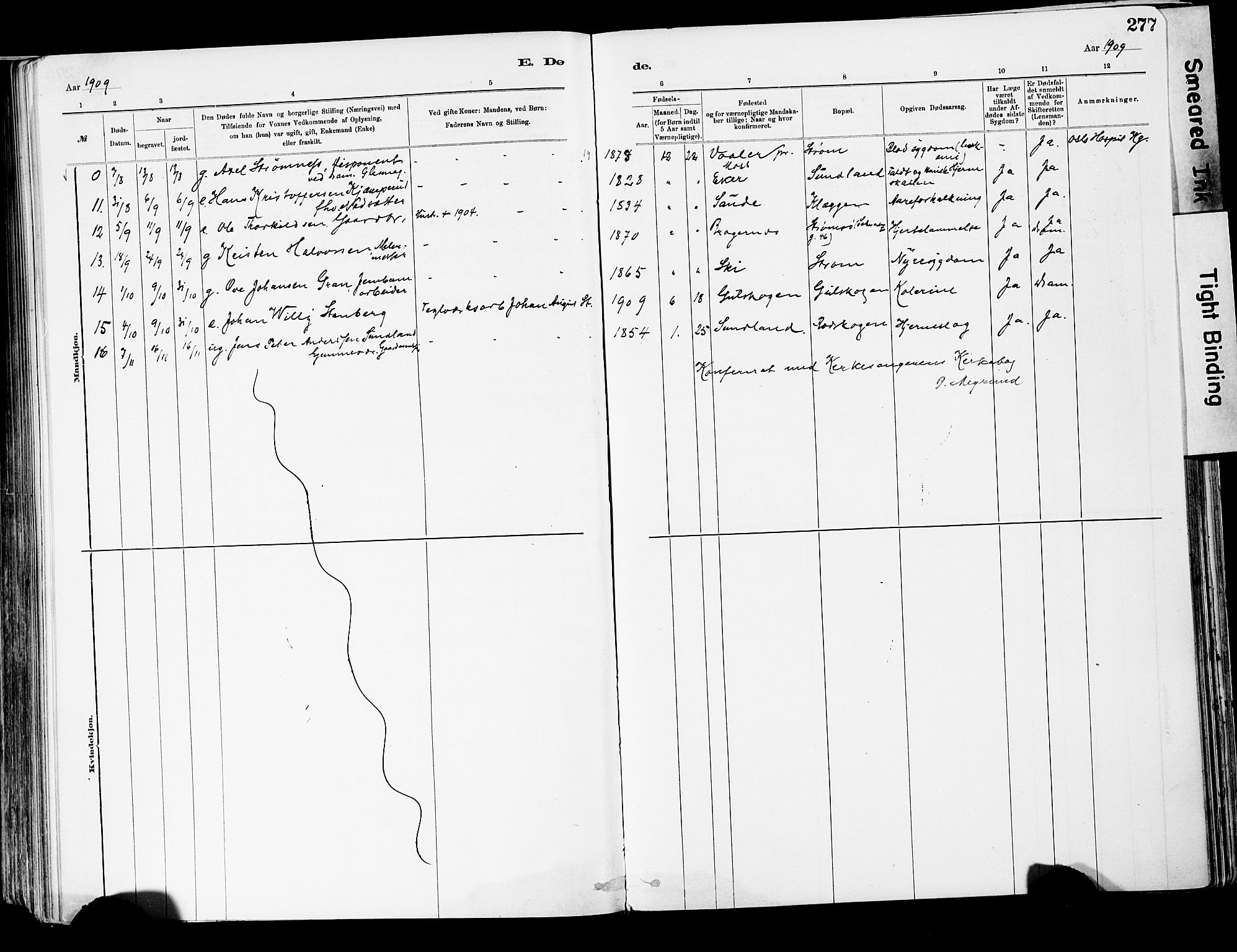 Strømsgodset kirkebøker, AV/SAKO-A-324/F/Fa/L0001: Parish register (official) no. 1, 1885-1909, p. 277