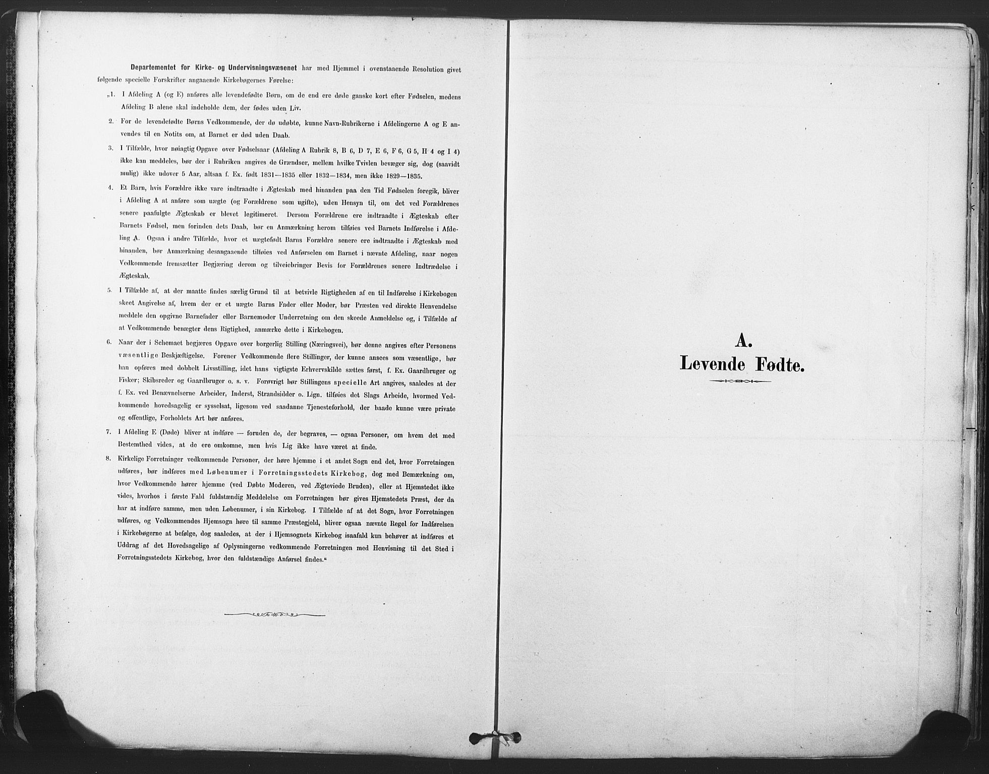 Rollag kirkebøker, AV/SAKO-A-240/F/Fa/L0011: Parish register (official) no. I 11, 1878-1902
