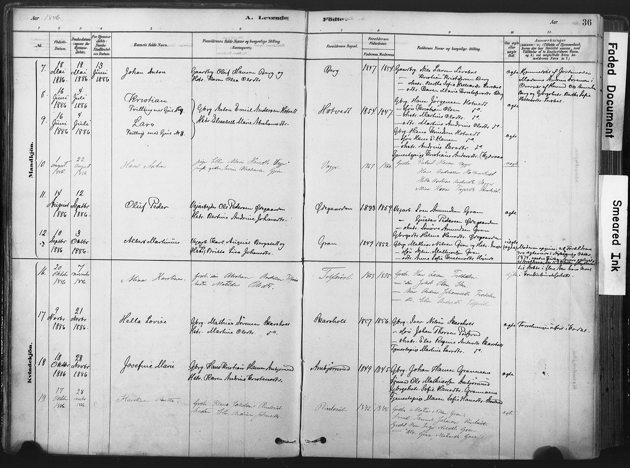 Andebu kirkebøker, AV/SAKO-A-336/F/Fa/L0007: Parish register (official) no. 7, 1878-1899, p. 36