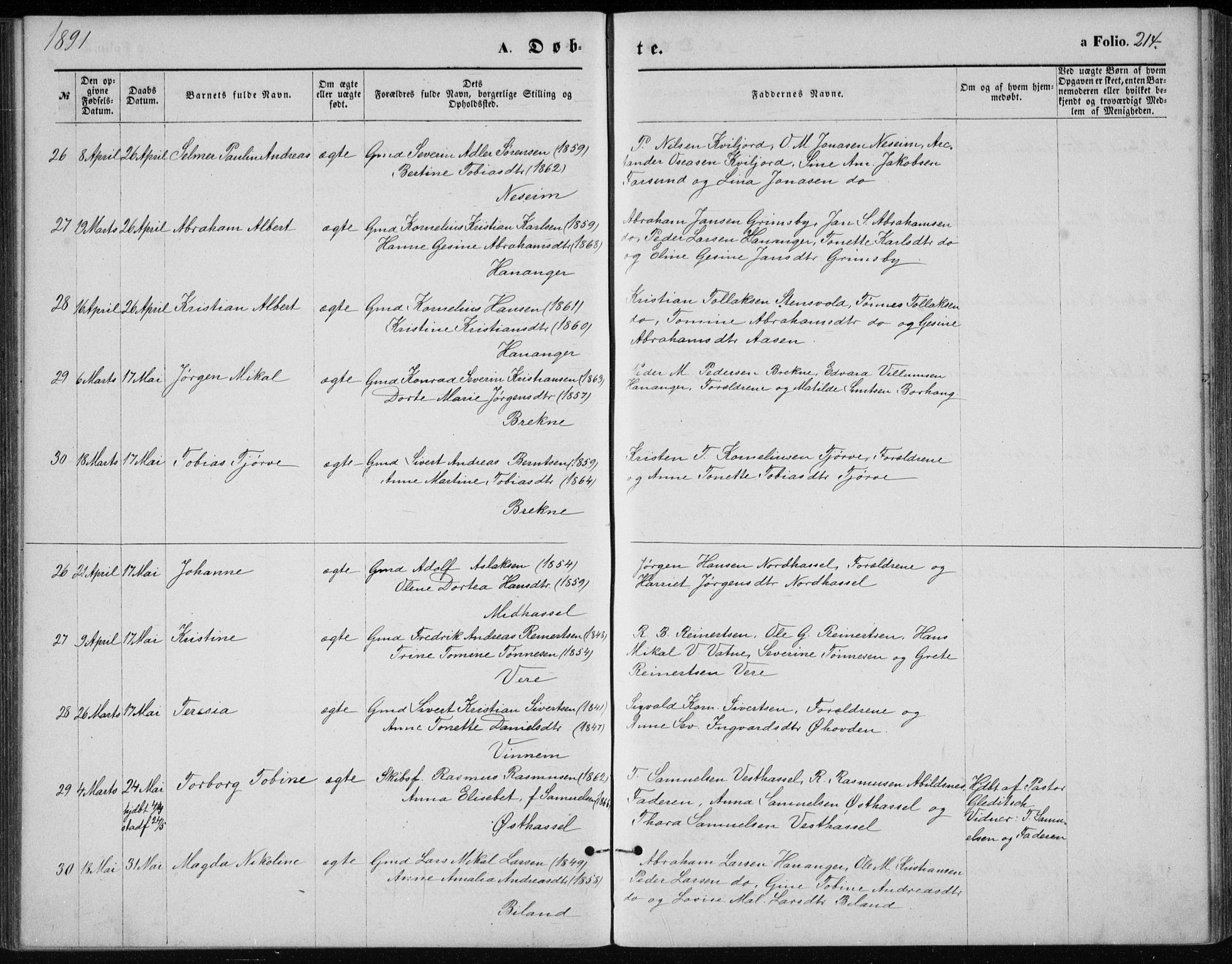Lista sokneprestkontor, AV/SAK-1111-0027/F/Fb/L0004: Parish register (copy) no. B 4, 1877-1891, p. 214