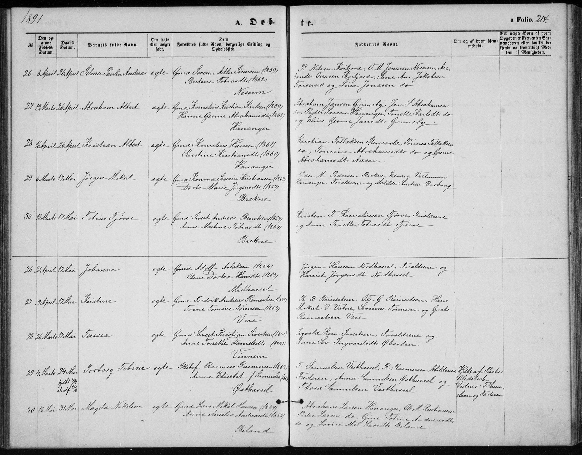 Lista sokneprestkontor, AV/SAK-1111-0027/F/Fb/L0004: Parish register (copy) no. B 4, 1877-1891, p. 214