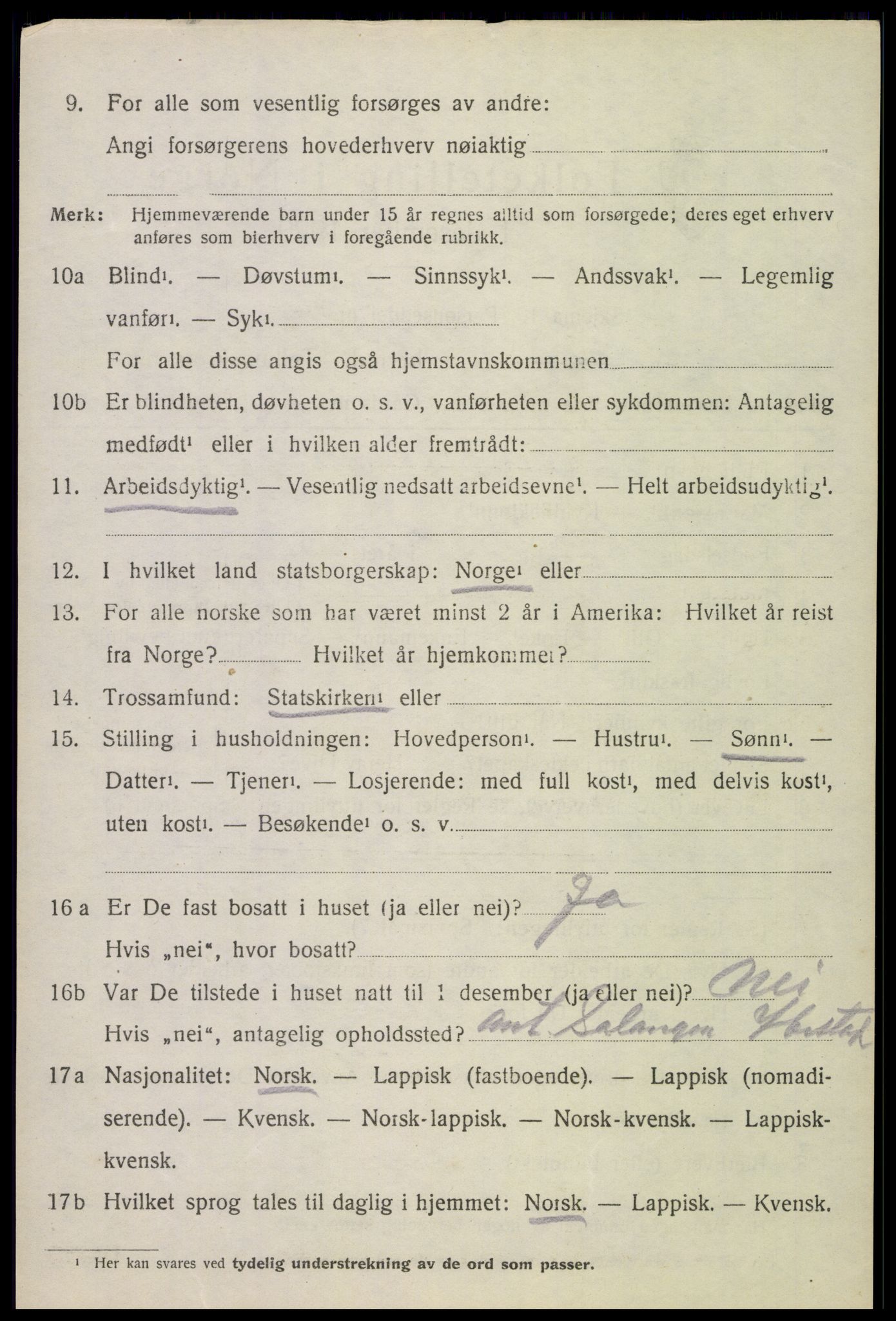 SAT, 1920 census for Lødingen, 1920, p. 1506