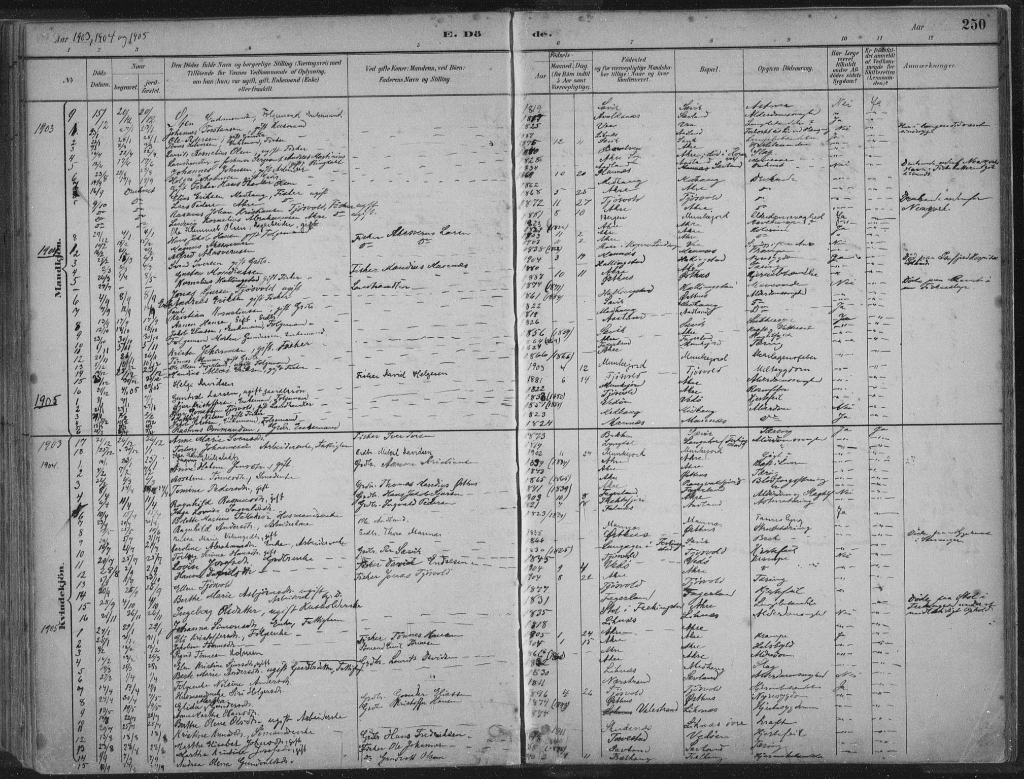Kopervik sokneprestkontor, SAST/A-101850/H/Ha/Haa/L0004: Parish register (official) no. A 4, 1882-1905, p. 250