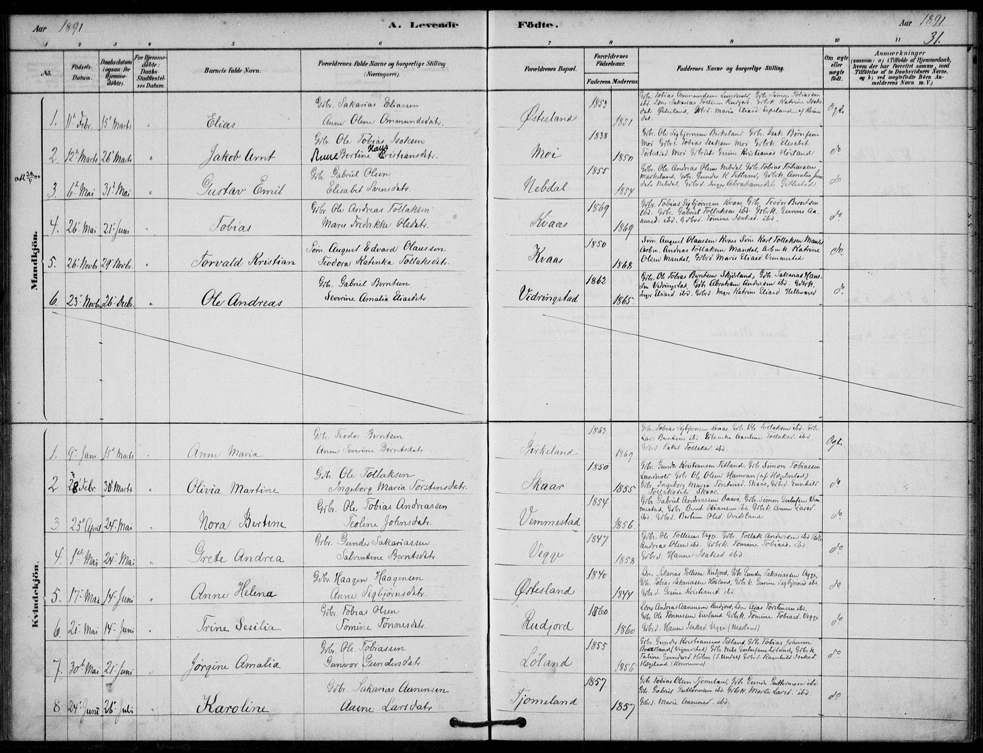 Lyngdal sokneprestkontor, SAK/1111-0029/F/Fa/Fab/L0003: Parish register (official) no. A 3, 1878-1903, p. 31