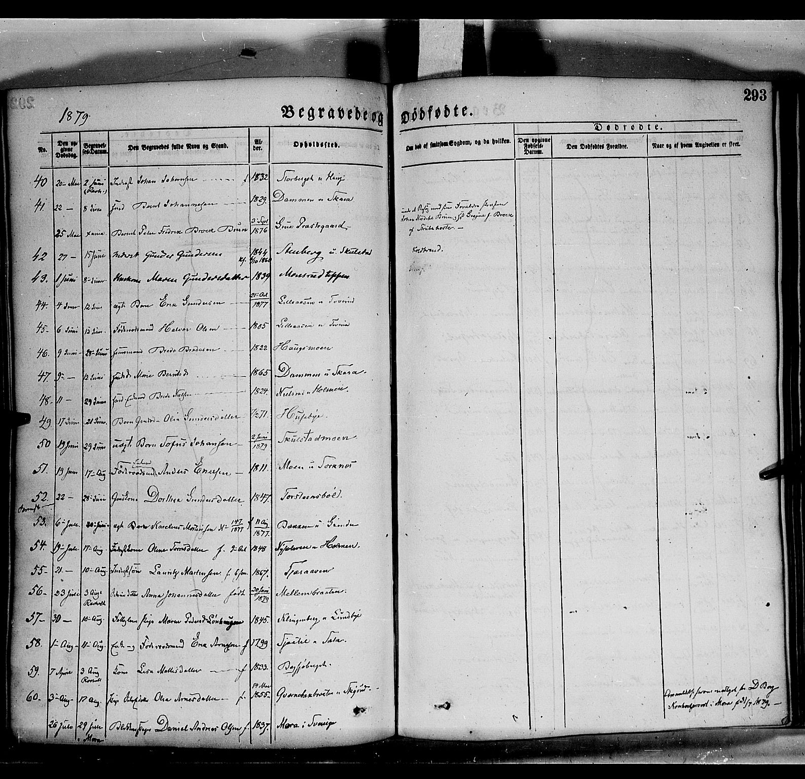 Grue prestekontor, SAH/PREST-036/H/Ha/Haa/L0011: Parish register (official) no. 11, 1873-1880, p. 293