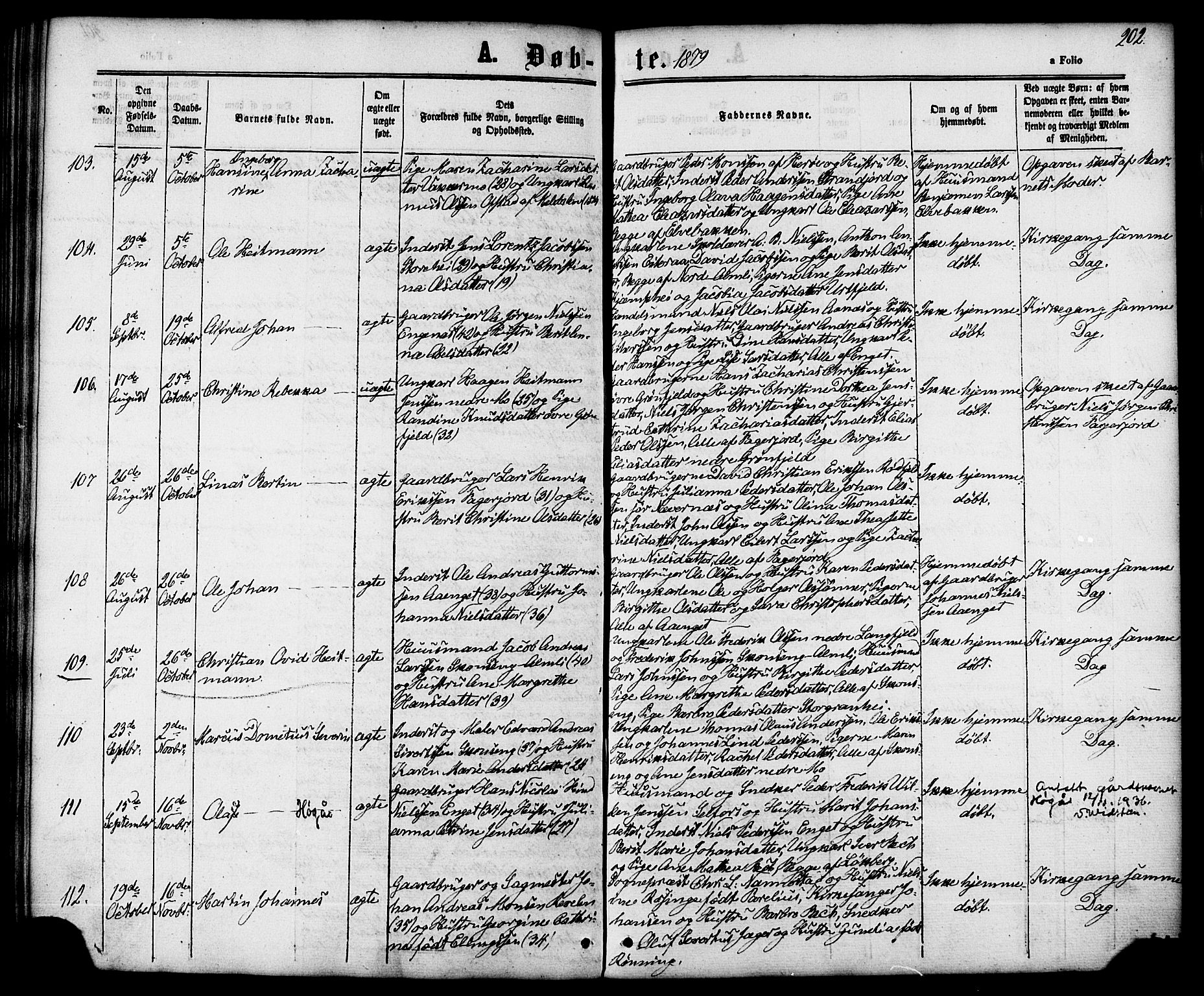 Ministerialprotokoller, klokkerbøker og fødselsregistre - Nordland, SAT/A-1459/827/L0393: Parish register (official) no. 827A05, 1863-1883, p. 202