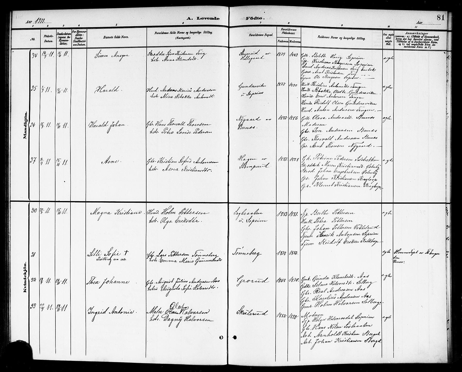 Høland prestekontor Kirkebøker, AV/SAO-A-10346a/G/Gb/L0001: Parish register (copy) no. II 1, 1902-1919, p. 81