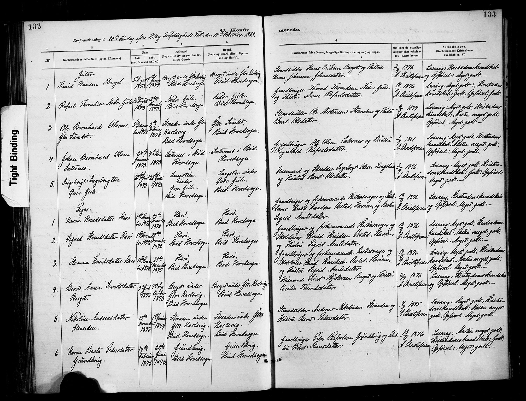 Ministerialprotokoller, klokkerbøker og fødselsregistre - Møre og Romsdal, SAT/A-1454/566/L0769: Parish register (official) no. 566A08, 1881-1903, p. 133