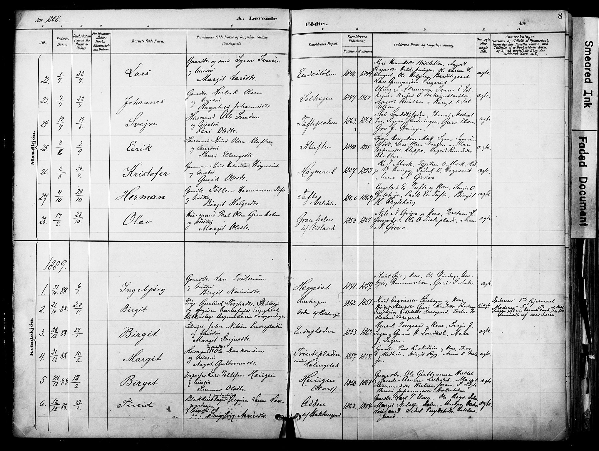 Hol kirkebøker, AV/SAKO-A-227/F/Fa/L0003: Parish register (official) no. I 3, 1887-1918, p. 8