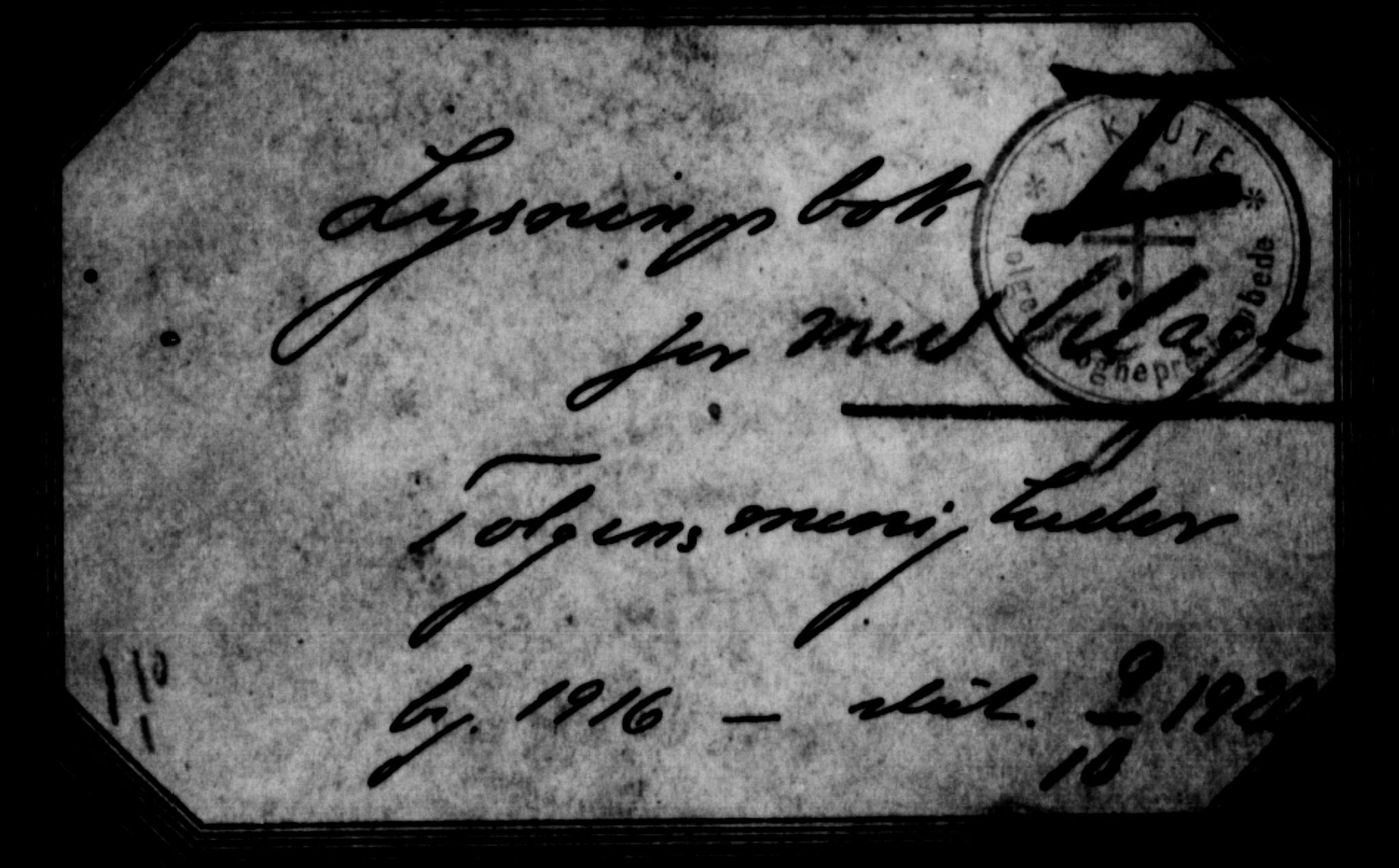 Tolga prestekontor, AV/SAH-PREST-062/N/L0004: Banns register no. 31, 1916-1920